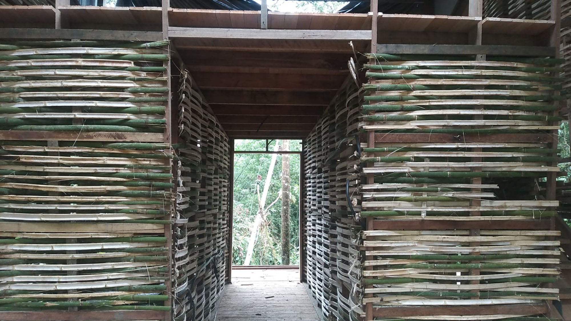 〈ワイルド・スマコ・リサーチ・パビリオン(WildSumaco Research Pavilion)〉