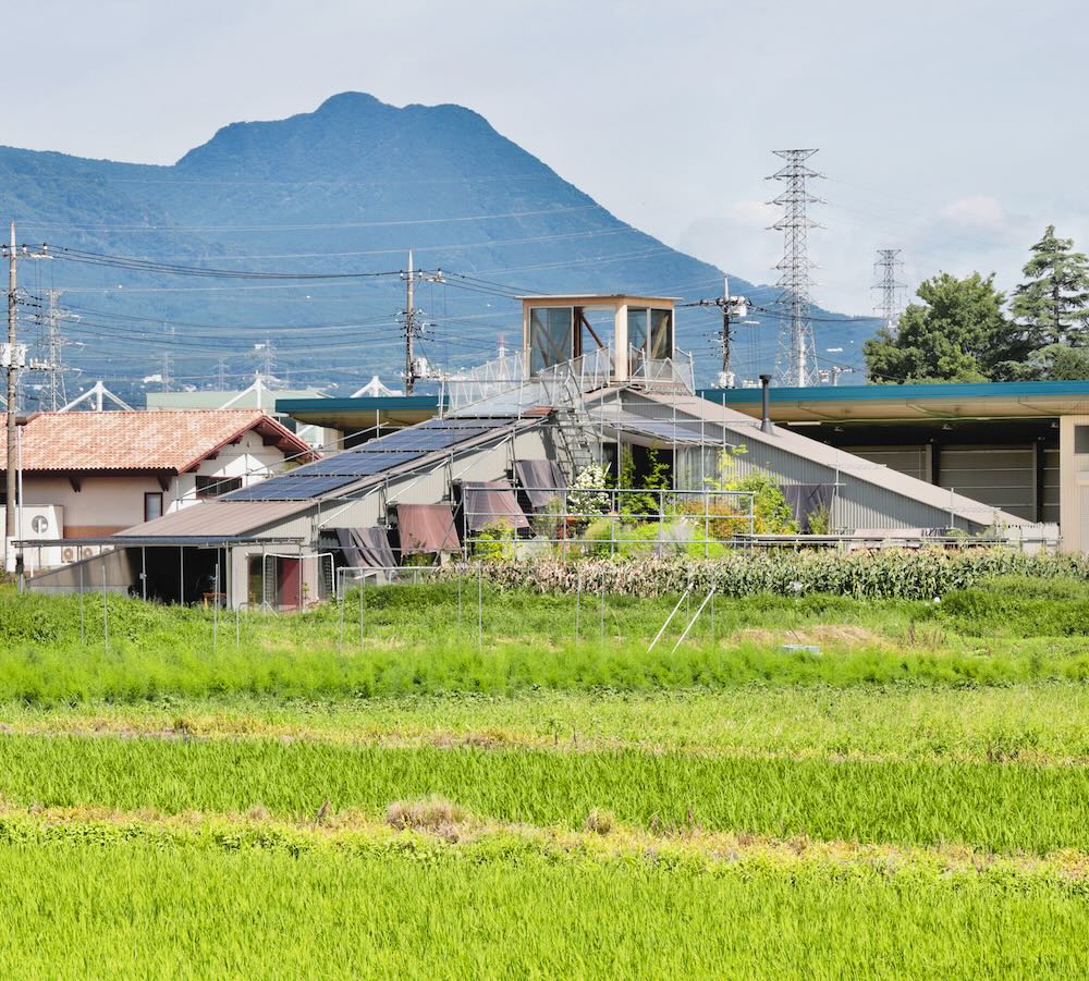 生物建築舎〈花と根〉