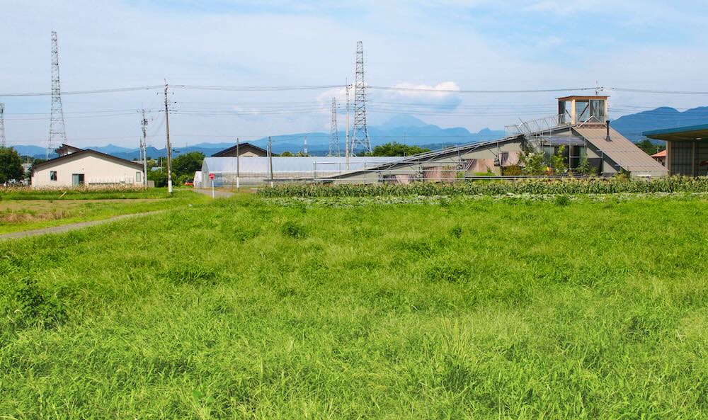 生物建築舎〈花と根〉