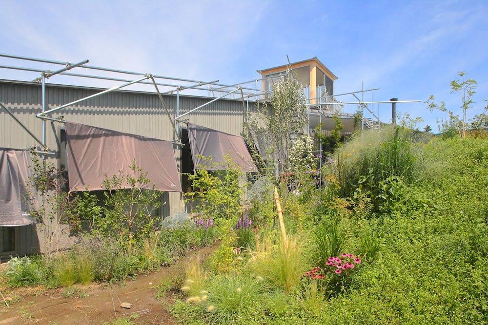 生物建築舎〈花と根〉