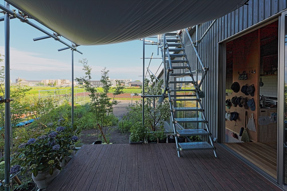 生物建築舎〈花と根〉