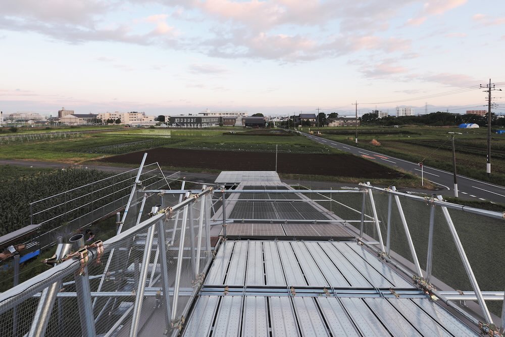 生物建築舎〈花と根〉