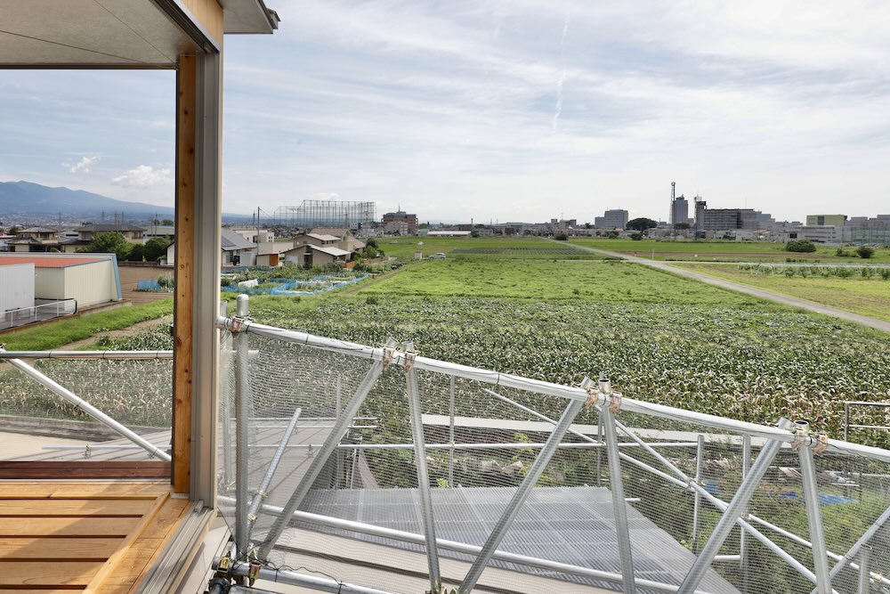 生物建築舎〈花と根〉