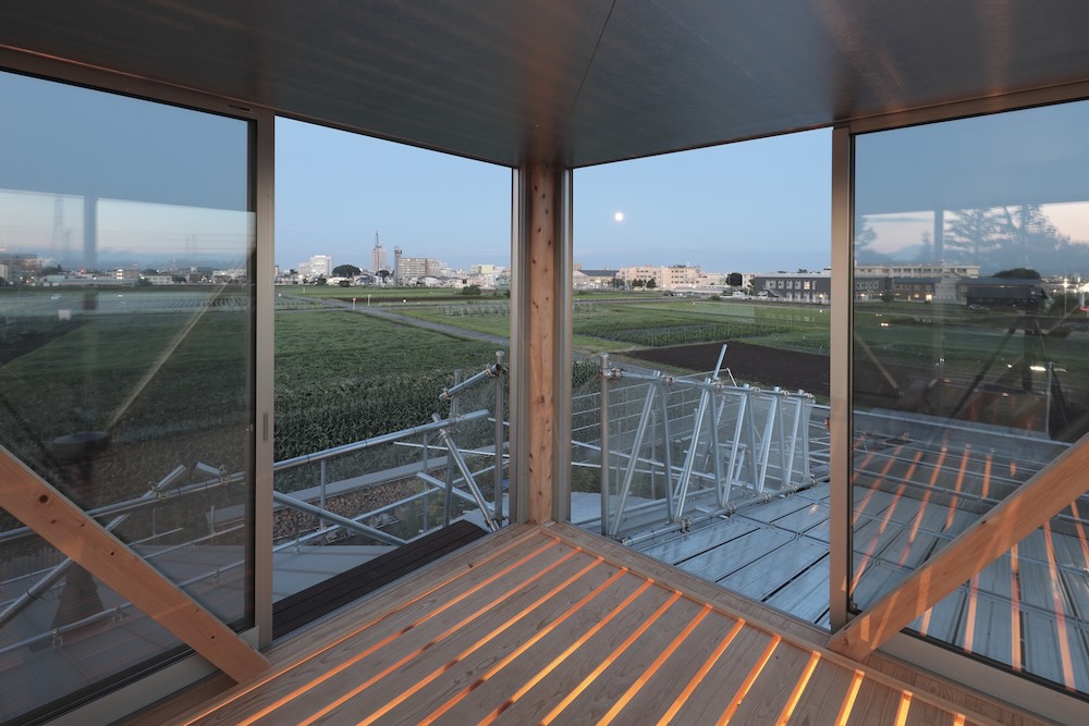 生物建築舎〈花と根〉