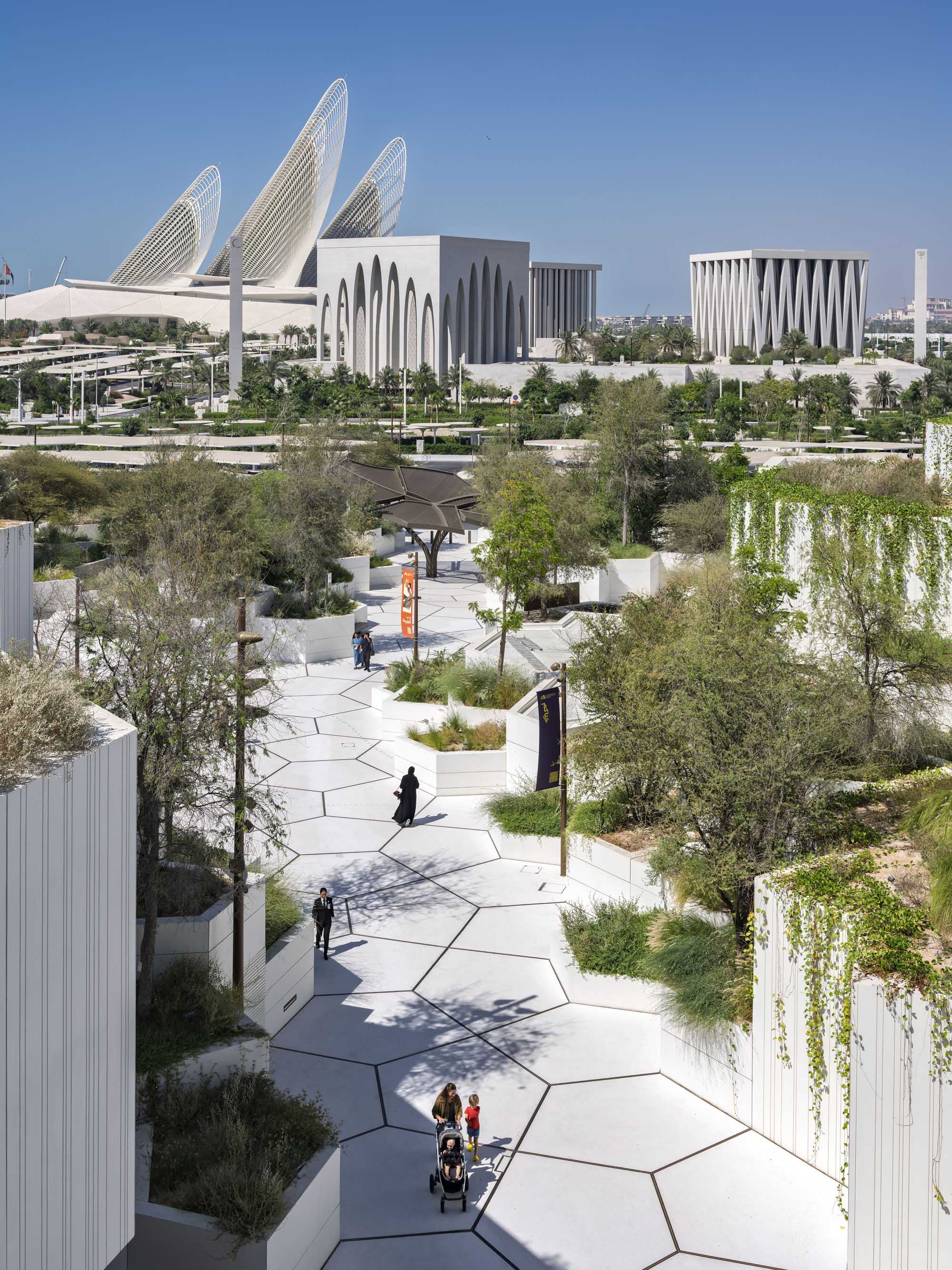 〈アブダビ自然史博物館（Natural History Museum Abu Dhabi）〉メカノー（Mecanoo）、EGIS、ブロードウェイ・マリアン（Broadway Malyan）、パスカル＋ワトソン（Pascal+Watson）、WAHO