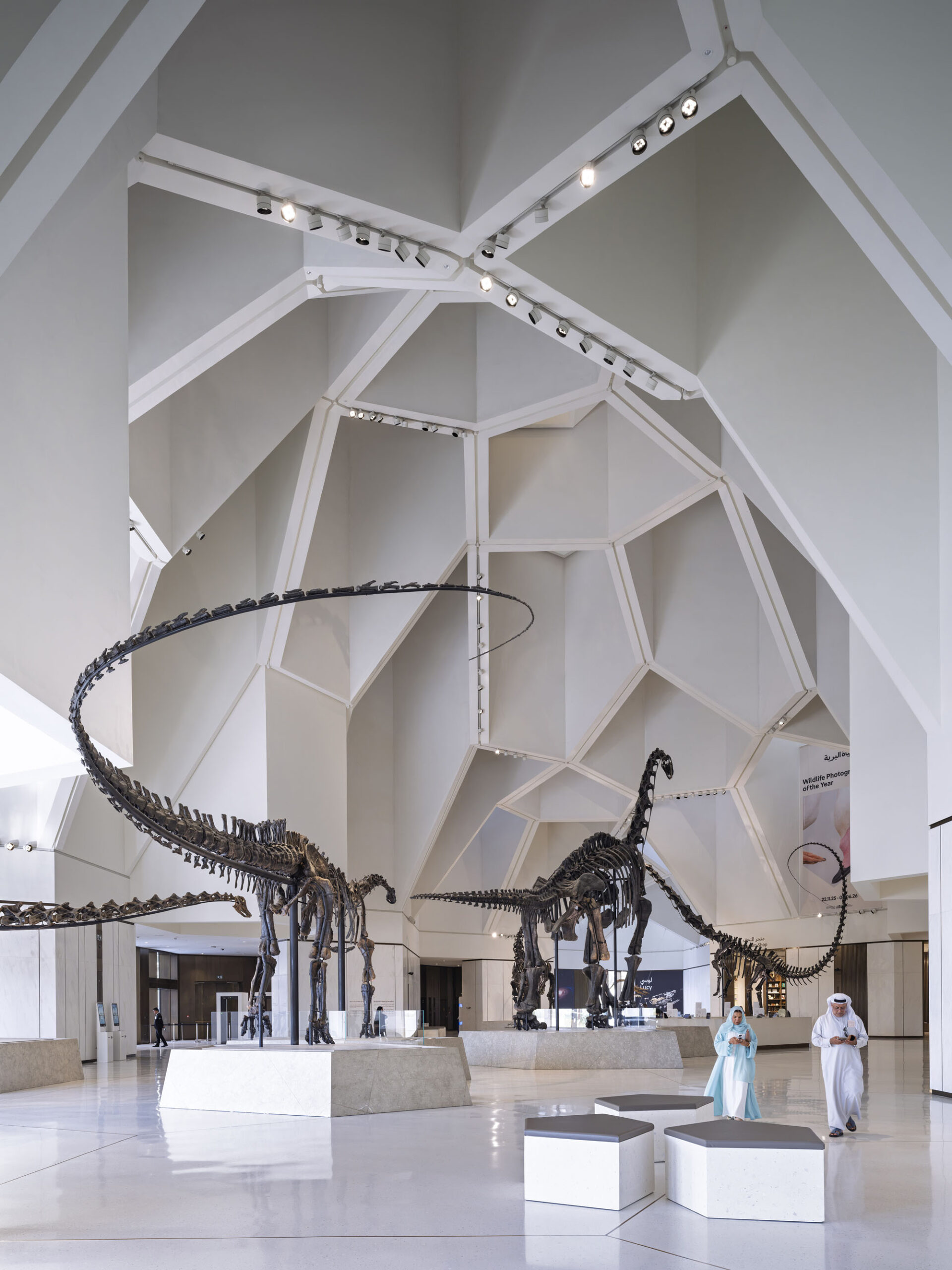 〈アブダビ自然史博物館（Natural History Museum Abu Dhabi）〉メカノー（Mecanoo）、EGIS、ブロードウェイ・マリアン（Broadway Malyan）、パスカル＋ワトソン（Pascal+Watson）、WAHO