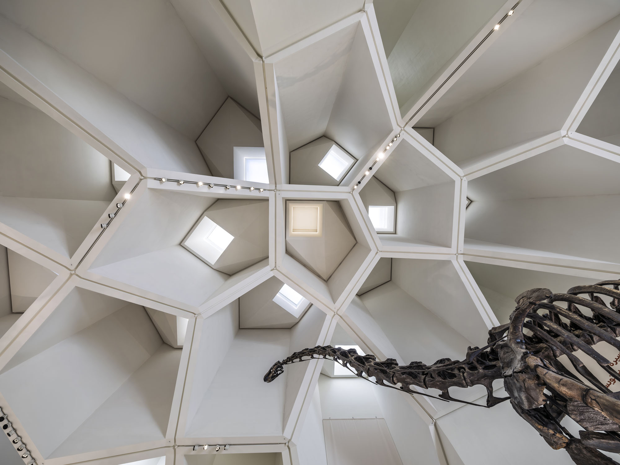 〈アブダビ自然史博物館（Natural History Museum Abu Dhabi）〉メカノー（Mecanoo）、EGIS、ブロードウェイ・マリアン（Broadway Malyan）、パスカル＋ワトソン（Pascal+Watson）、WAHO