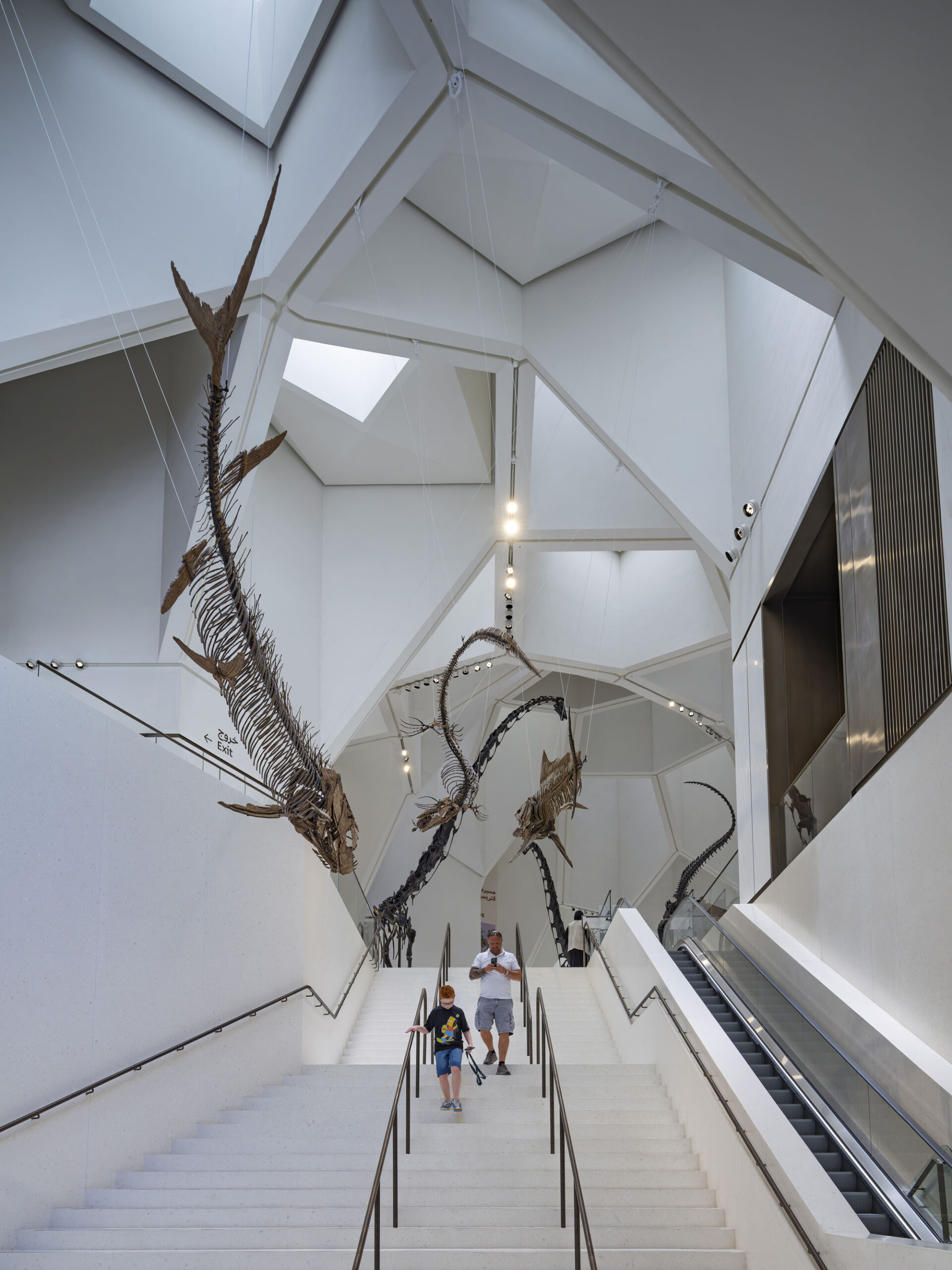〈アブダビ自然史博物館（Natural History Museum Abu Dhabi）〉メカノー（Mecanoo）、EGIS、ブロードウェイ・マリアン（Broadway Malyan）、パスカル＋ワトソン（Pascal+Watson）、WAHO