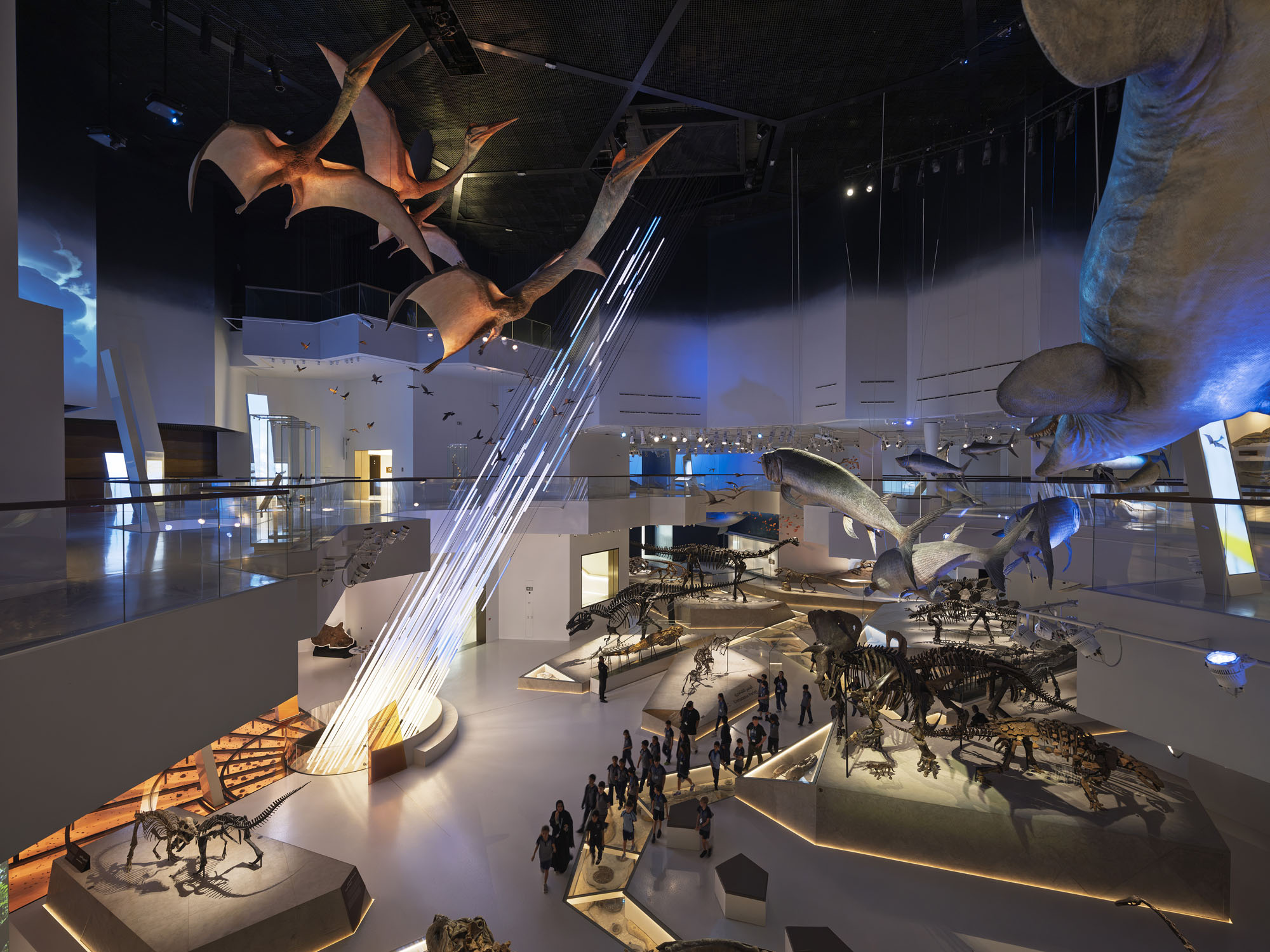 〈アブダビ自然史博物館（Natural History Museum Abu Dhabi）〉メカノー（Mecanoo）、EGIS、ブロードウェイ・マリアン（Broadway Malyan）、パスカル＋ワトソン（Pascal+Watson）、WAHO