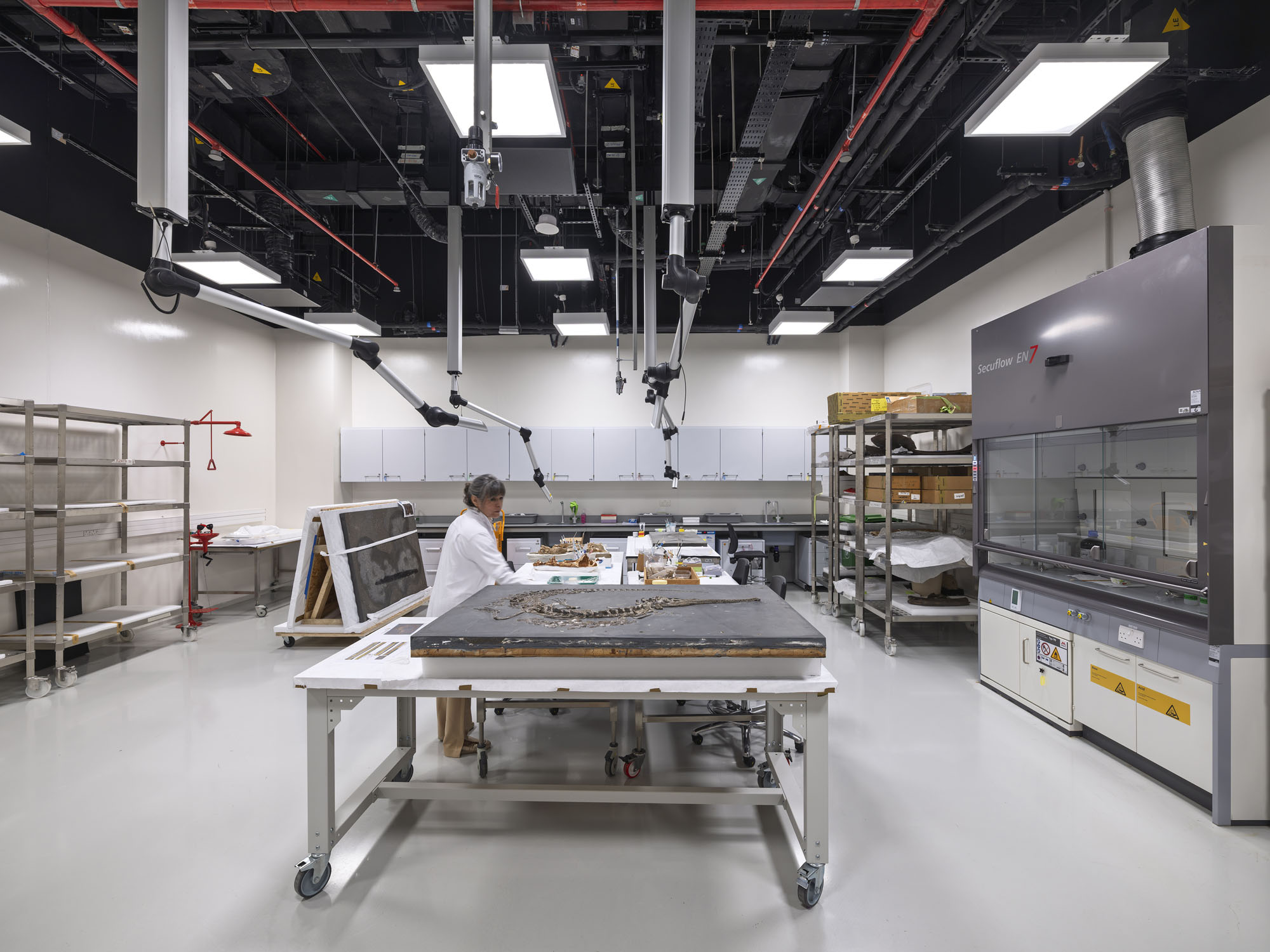 〈アブダビ自然史博物館（Natural History Museum Abu Dhabi）〉メカノー（Mecanoo）、EGIS、ブロードウェイ・マリアン（Broadway Malyan）、パスカル＋ワトソン（Pascal+Watson）、WAHO