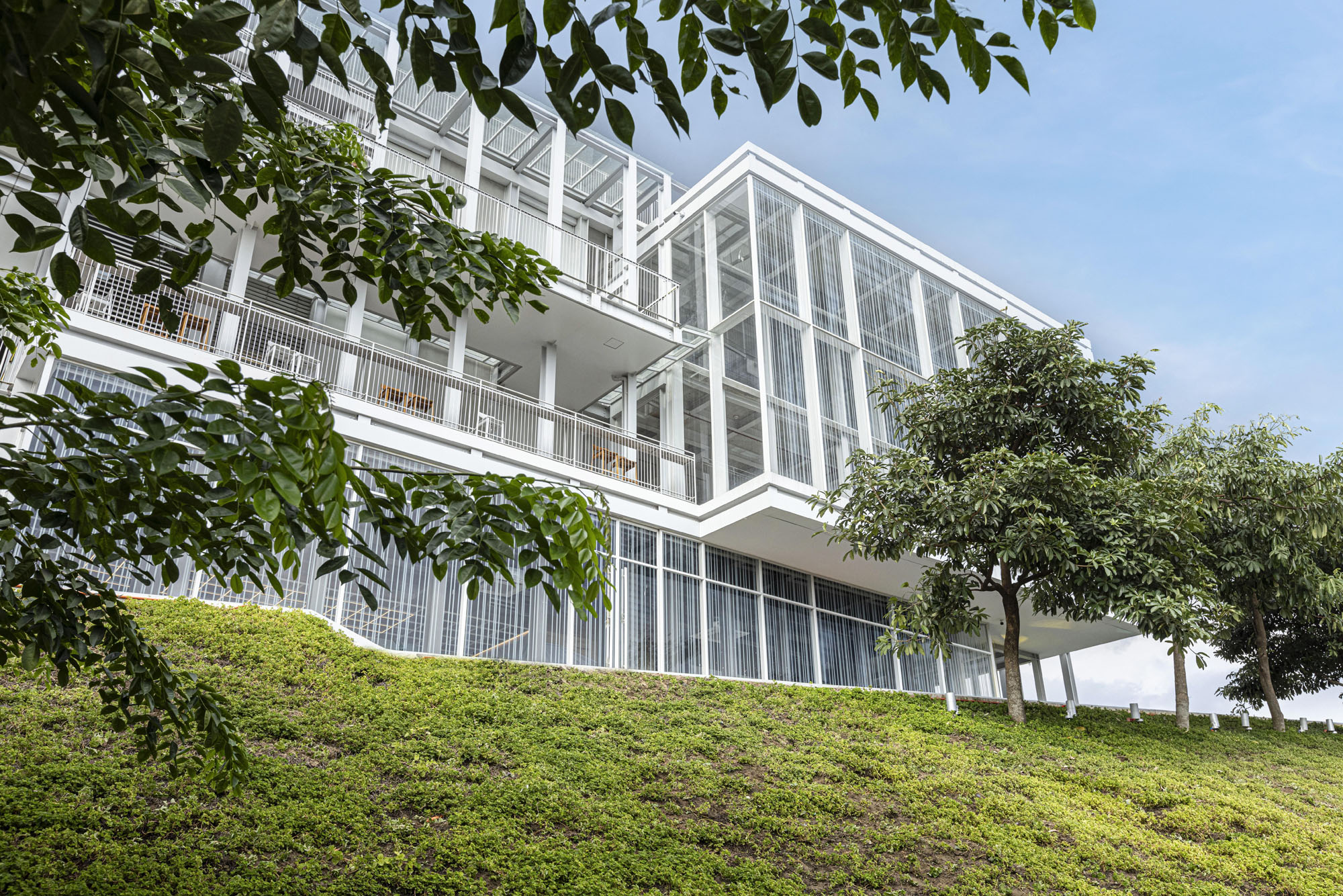 〈ザ・コーナー・ハウス(The Corner House)〉Department of ARCHITECTURE
