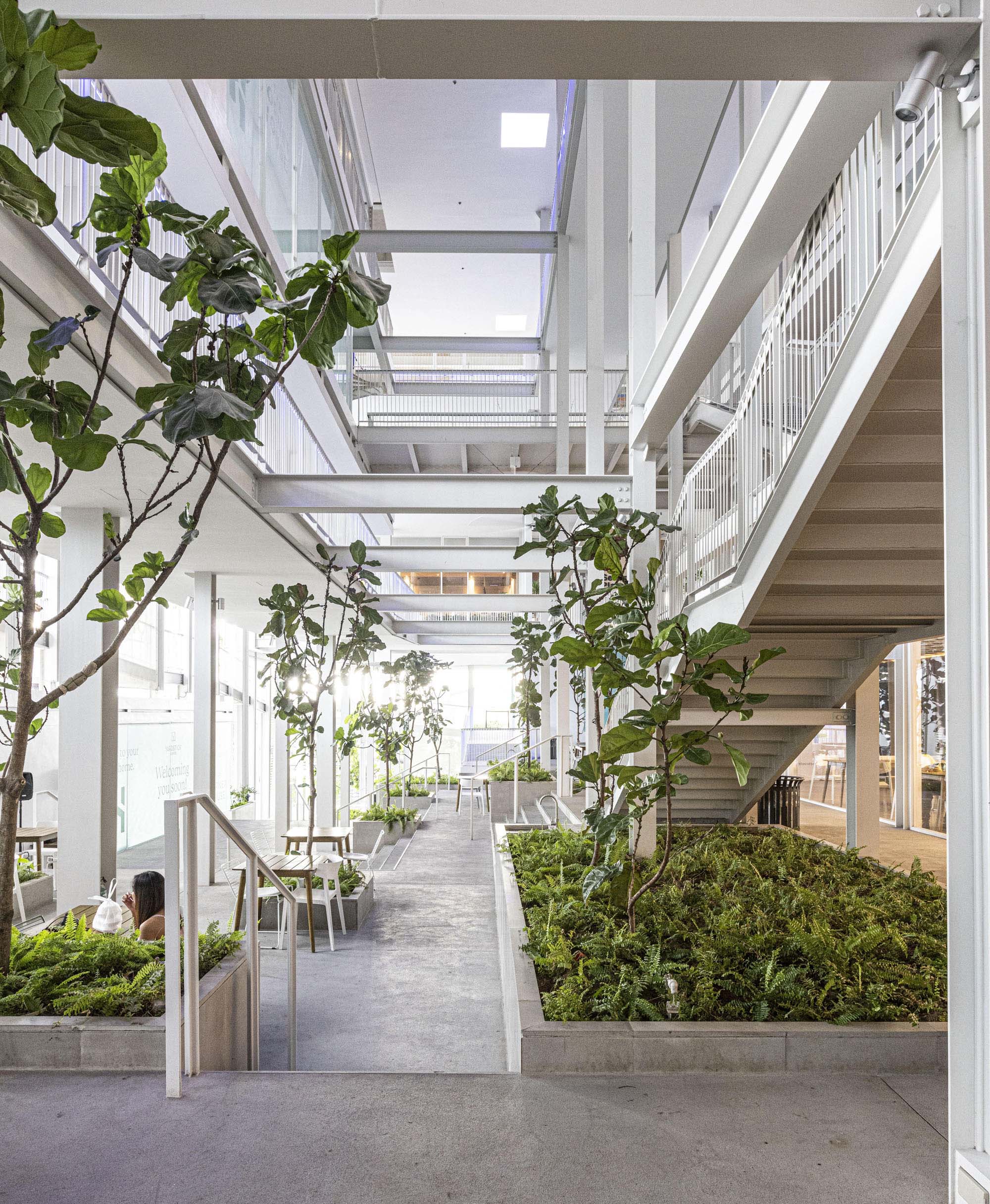 〈ザ・コーナー・ハウス(The Corner House)〉Department of ARCHITECTURE