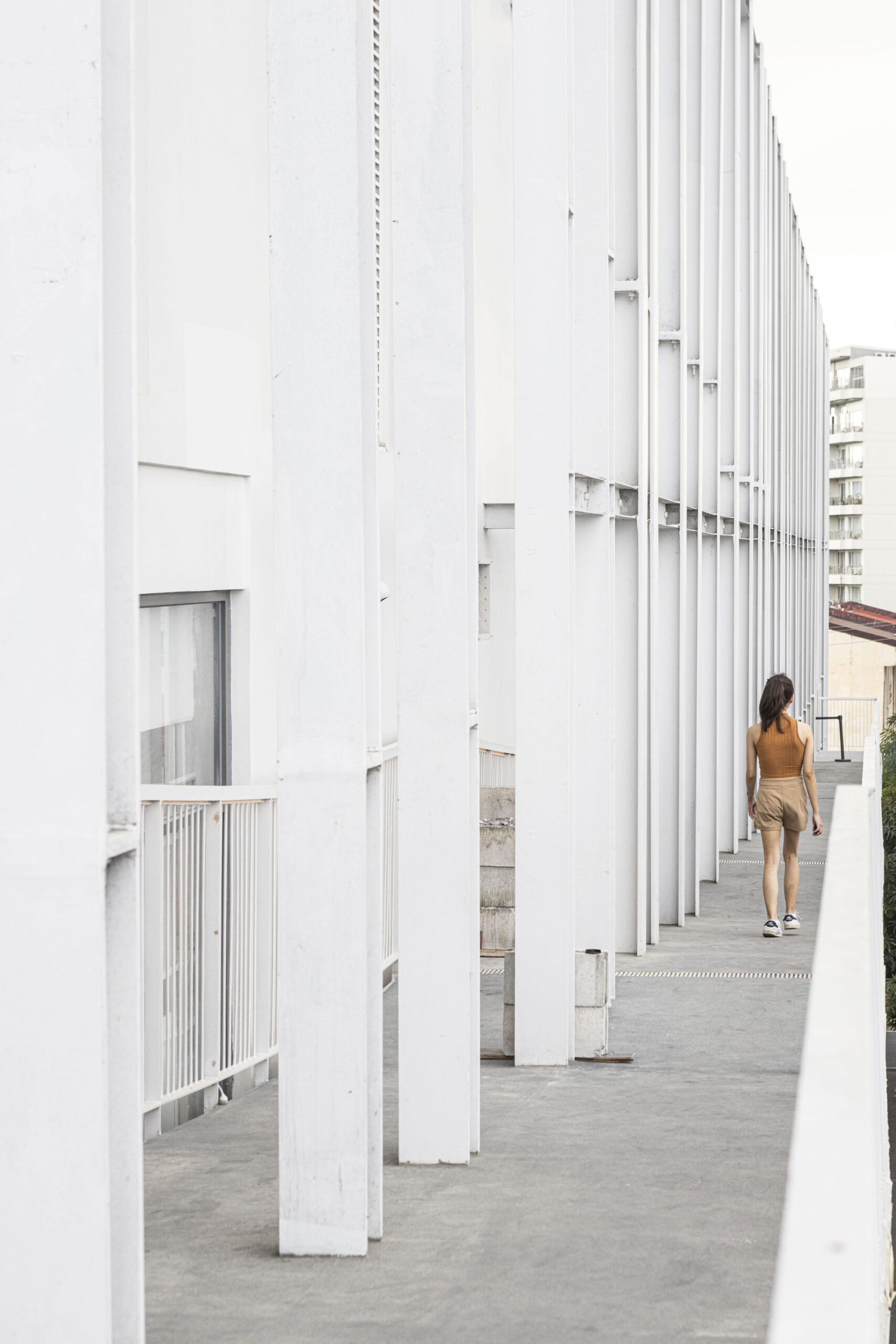 〈ザ・コーナー・ハウス(The Corner House)〉Department of ARCHITECTURE