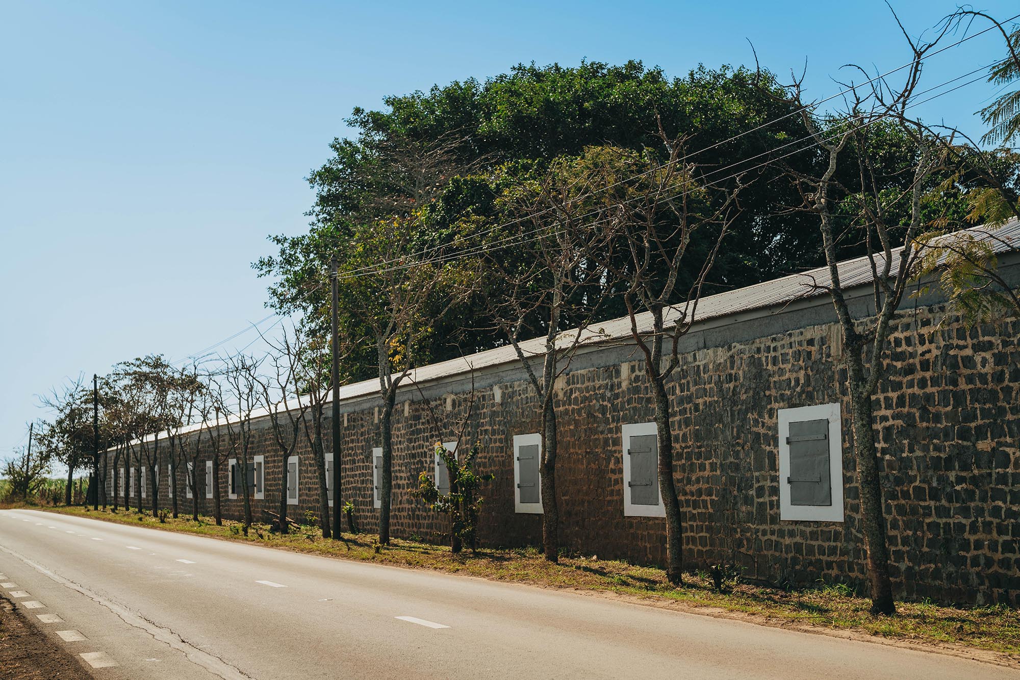 〈HEIスクールズ・モーリシャス(HEI Schools Mauritius)〉アーキテクツ・スタジオ(Architects’ Studio)