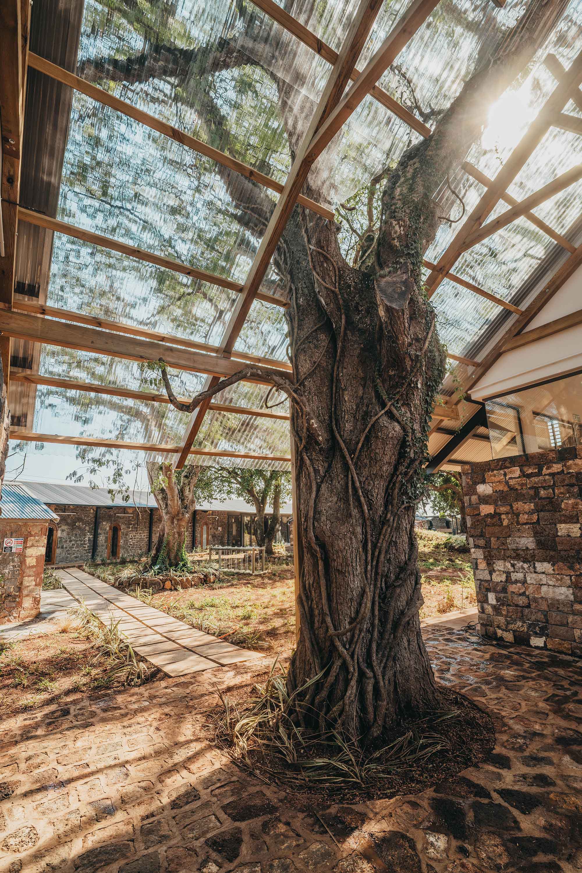〈HEIスクールズ・モーリシャス(HEI Schools Mauritius)〉アーキテクツ・スタジオ(Architects’ Studio)