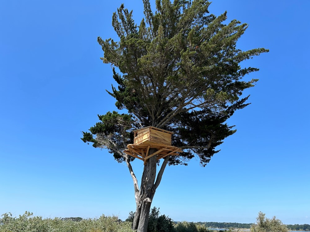 川俣 正〈Tree Hut Project〉
