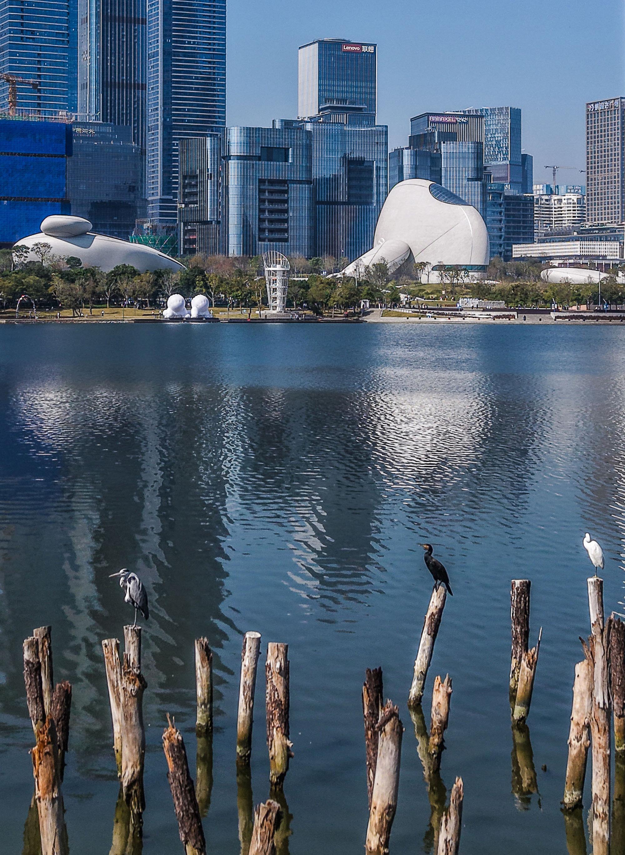 〈深圳湾文化広場(Shenzhen Bay Culture Square)〉MADアーキテクツ