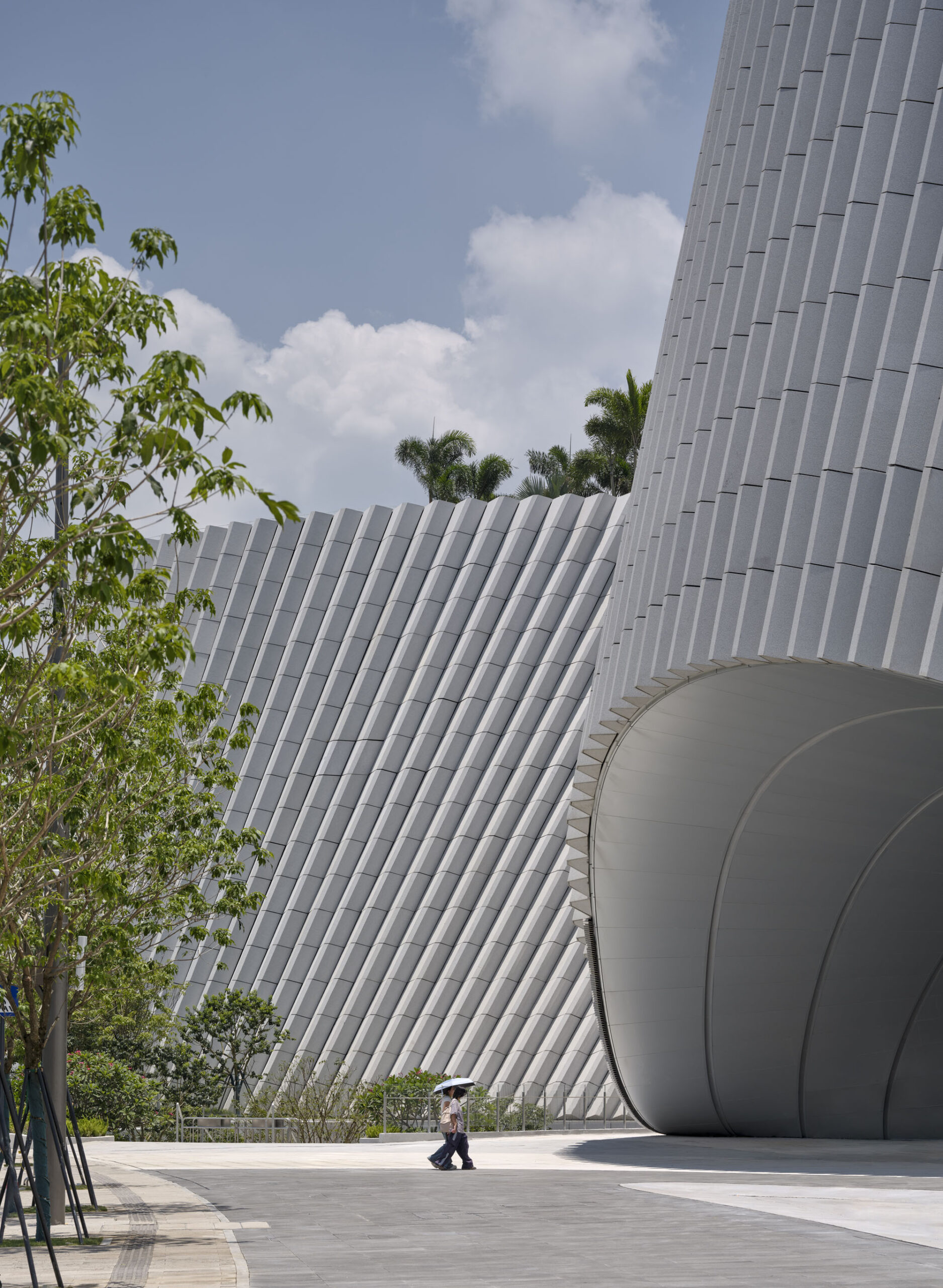 〈深圳自然史博物館（Shenzhen Natural History Museum）〉3XN、B+H Architects、Zhubo Design
