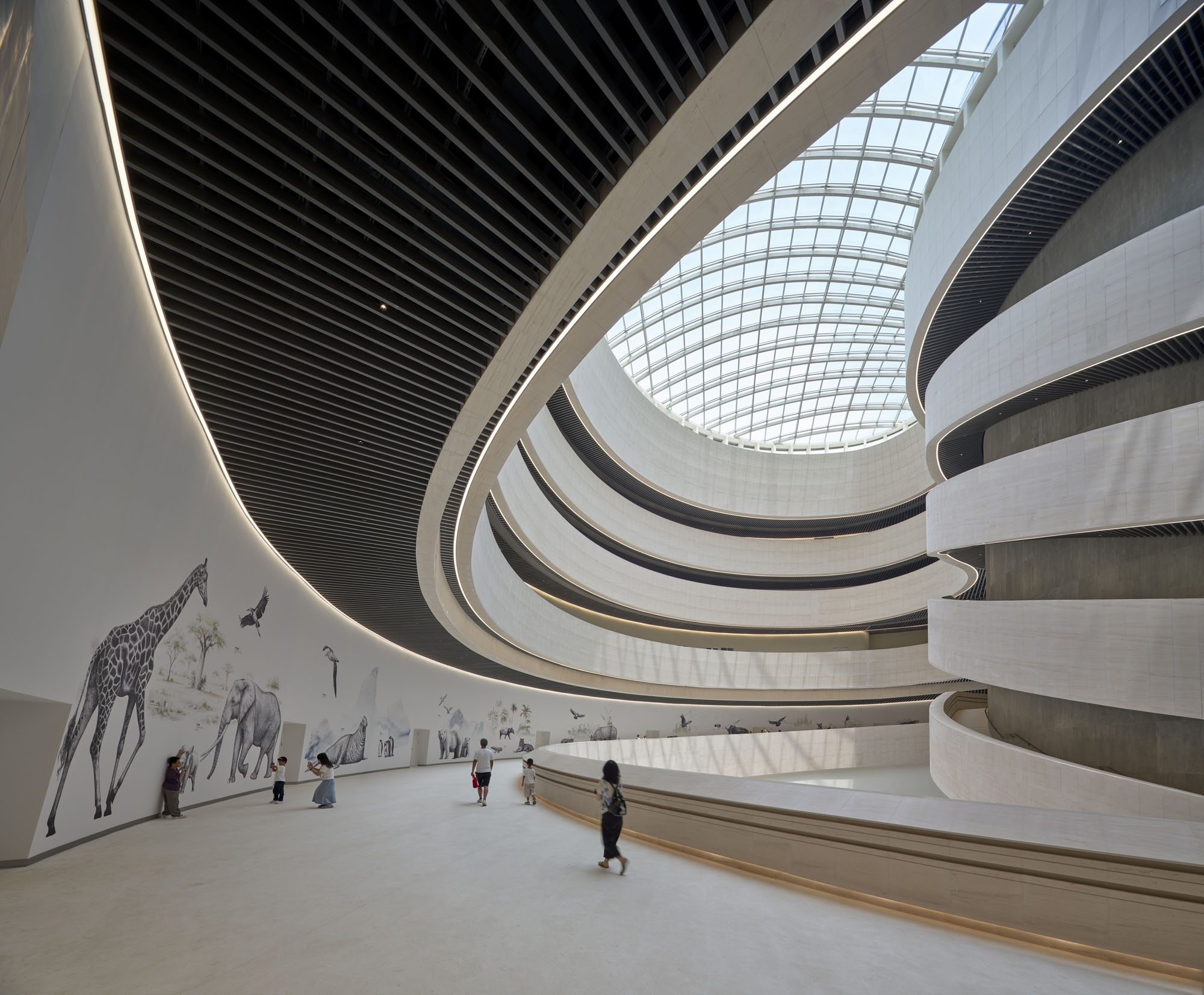 〈深圳自然史博物館（Shenzhen Natural History Museum）〉3XN、B+H Architects、Zhubo Design