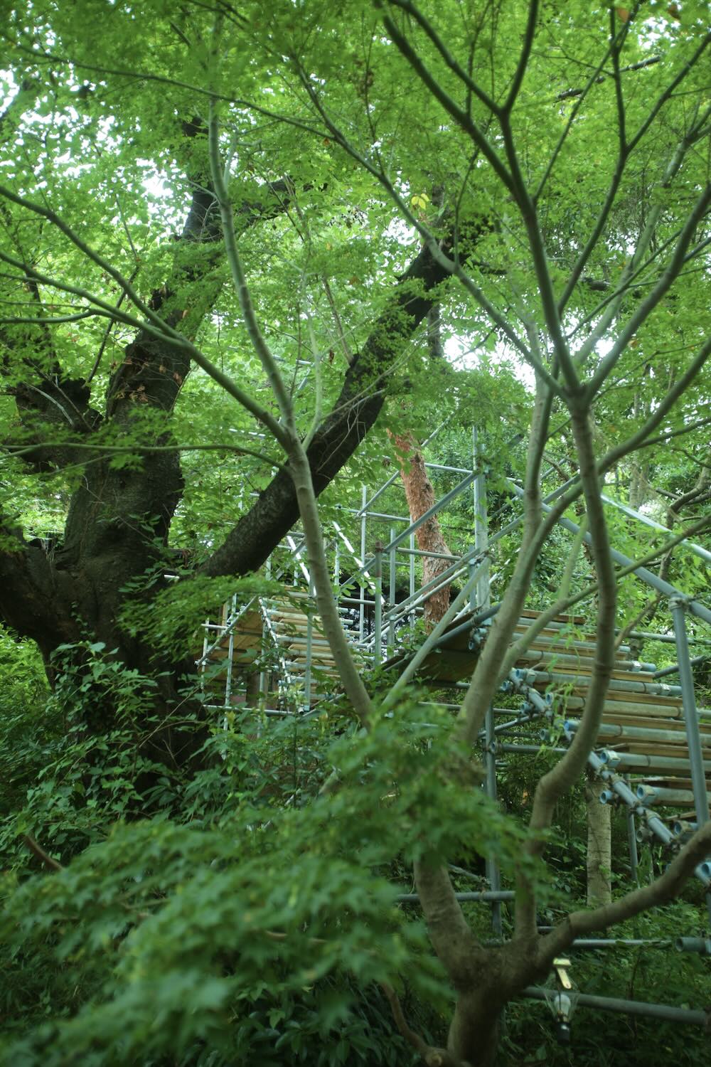 などや島津山「着地のプロトコル」会場写真