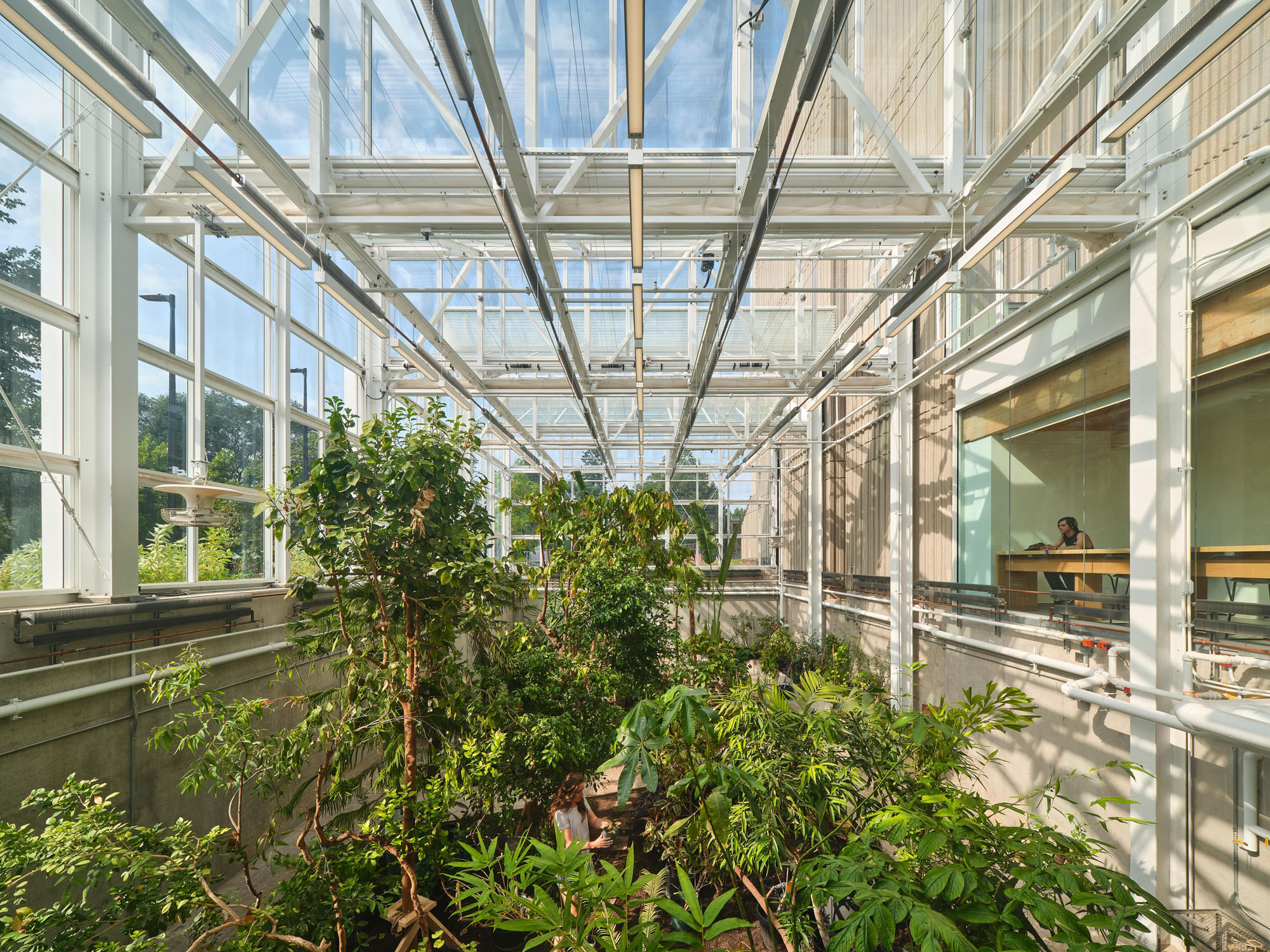 〈マクマスター大学 ライフサイエンス棟・温室（McMaster University Life Sciences Building and Greenhouse）〉モリヤマ・テシマ・アーキテクツ（Moriyama Teshima Architects）