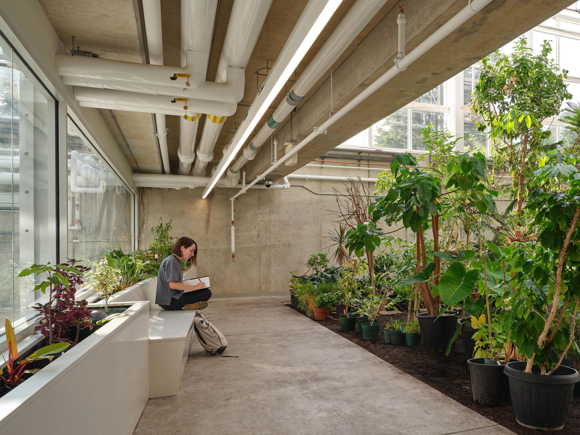 〈マクマスター大学 ライフサイエンス棟・温室（McMaster University Life Sciences Building and Greenhouse）〉モリヤマ・テシマ・アーキテクツ（Moriyama Teshima Architects）
