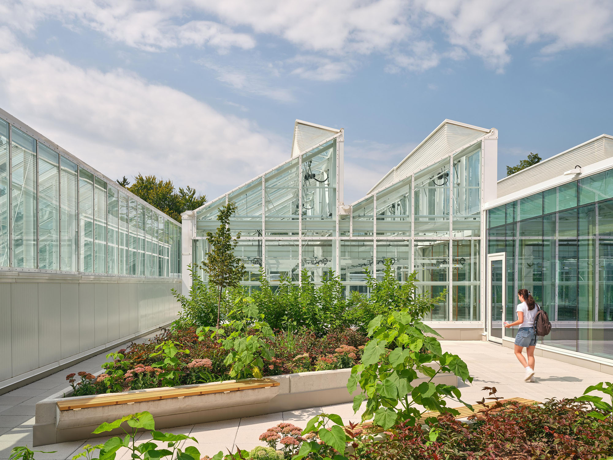 〈マクマスター大学 ライフサイエンス棟・温室（McMaster University Life Sciences Building and Greenhouse）〉モリヤマ・テシマ・アーキテクツ（Moriyama Teshima Architects）