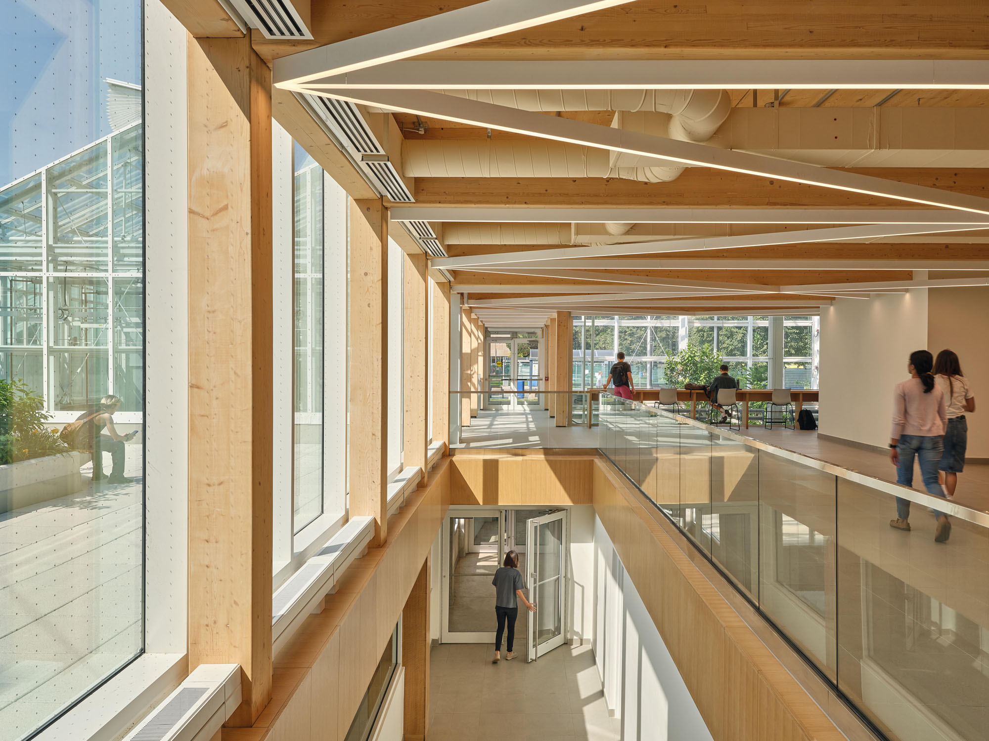 〈マクマスター大学 ライフサイエンス棟・温室（McMaster University Life Sciences Building and Greenhouse）〉モリヤマ・テシマ・アーキテクツ（Moriyama Teshima Architects）
