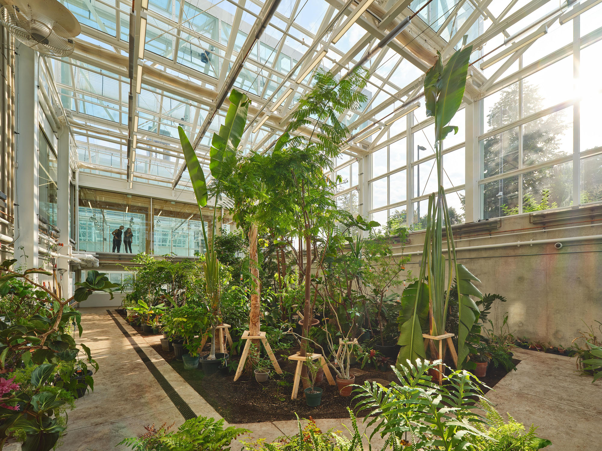 〈マクマスター大学 ライフサイエンス棟・温室（McMaster University Life Sciences Building and Greenhouse）〉モリヤマ・テシマ・アーキテクツ（Moriyama Teshima Architects）
