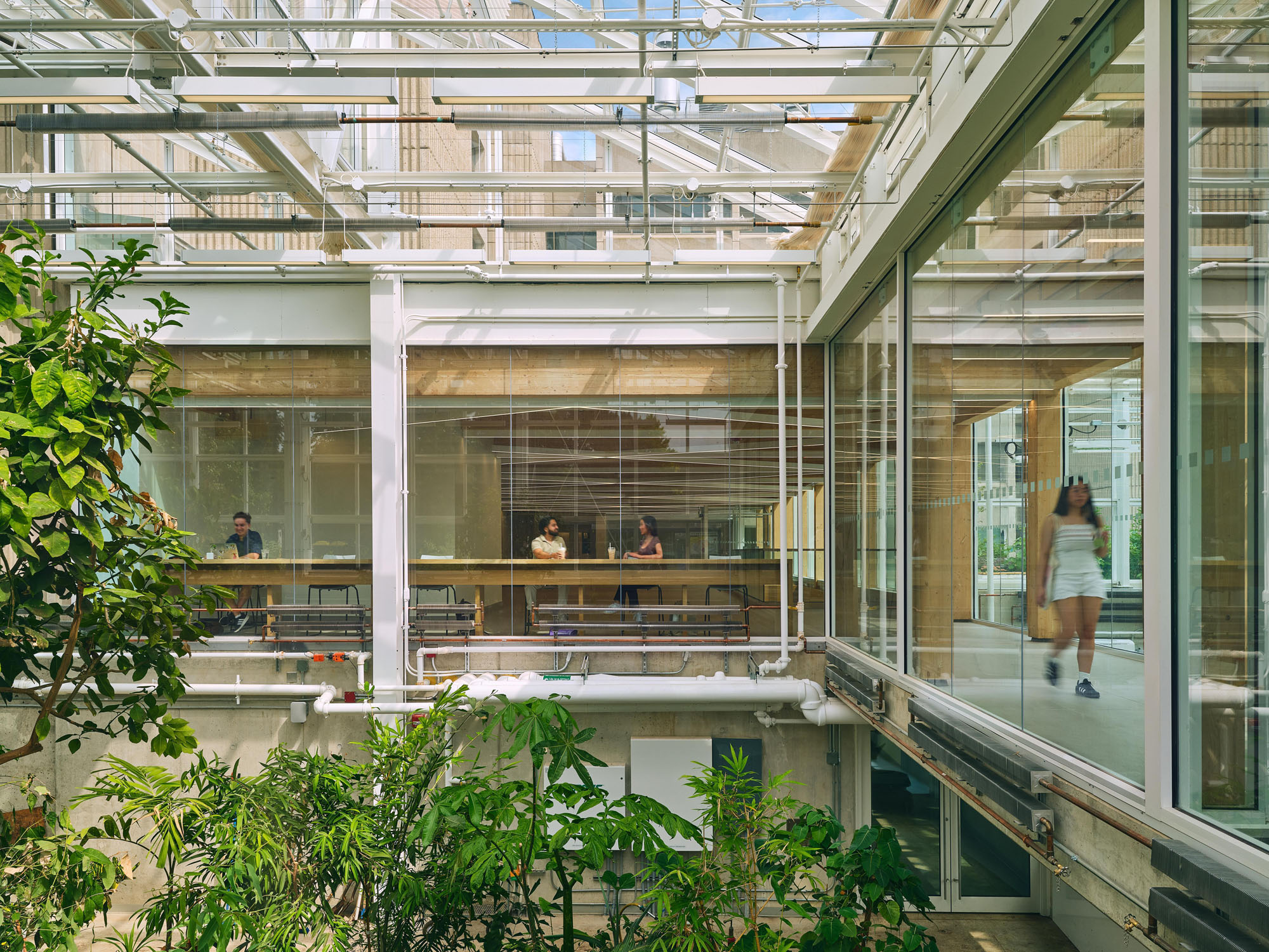〈マクマスター大学 ライフサイエンス棟・温室（McMaster University Life Sciences Building and Greenhouse）〉モリヤマ・テシマ・アーキテクツ（Moriyama Teshima Architects）