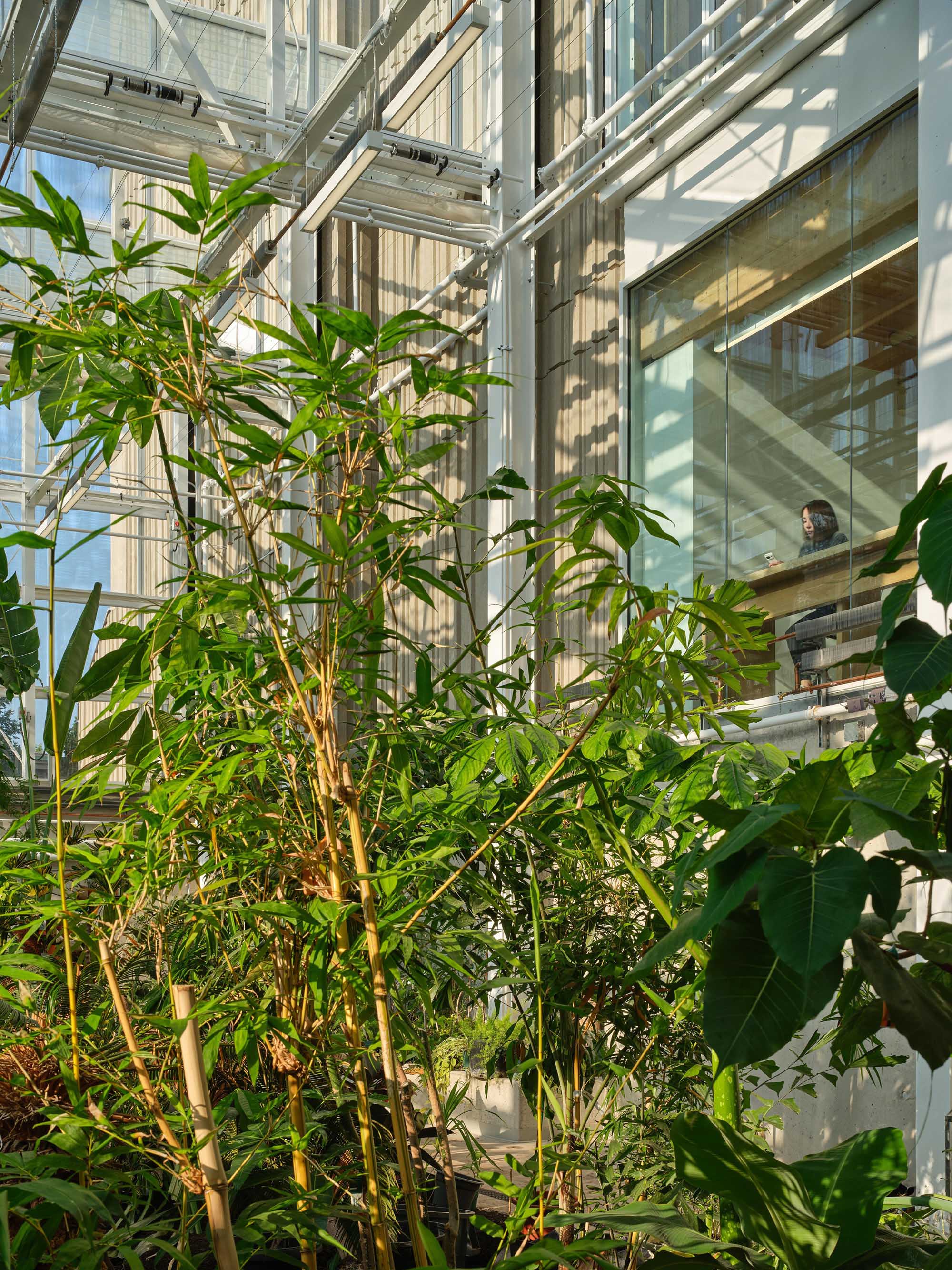 〈マクマスター大学 ライフサイエンス棟・温室（McMaster University Life Sciences Building and Greenhouse）〉モリヤマ・テシマ・アーキテクツ（Moriyama Teshima Architects）