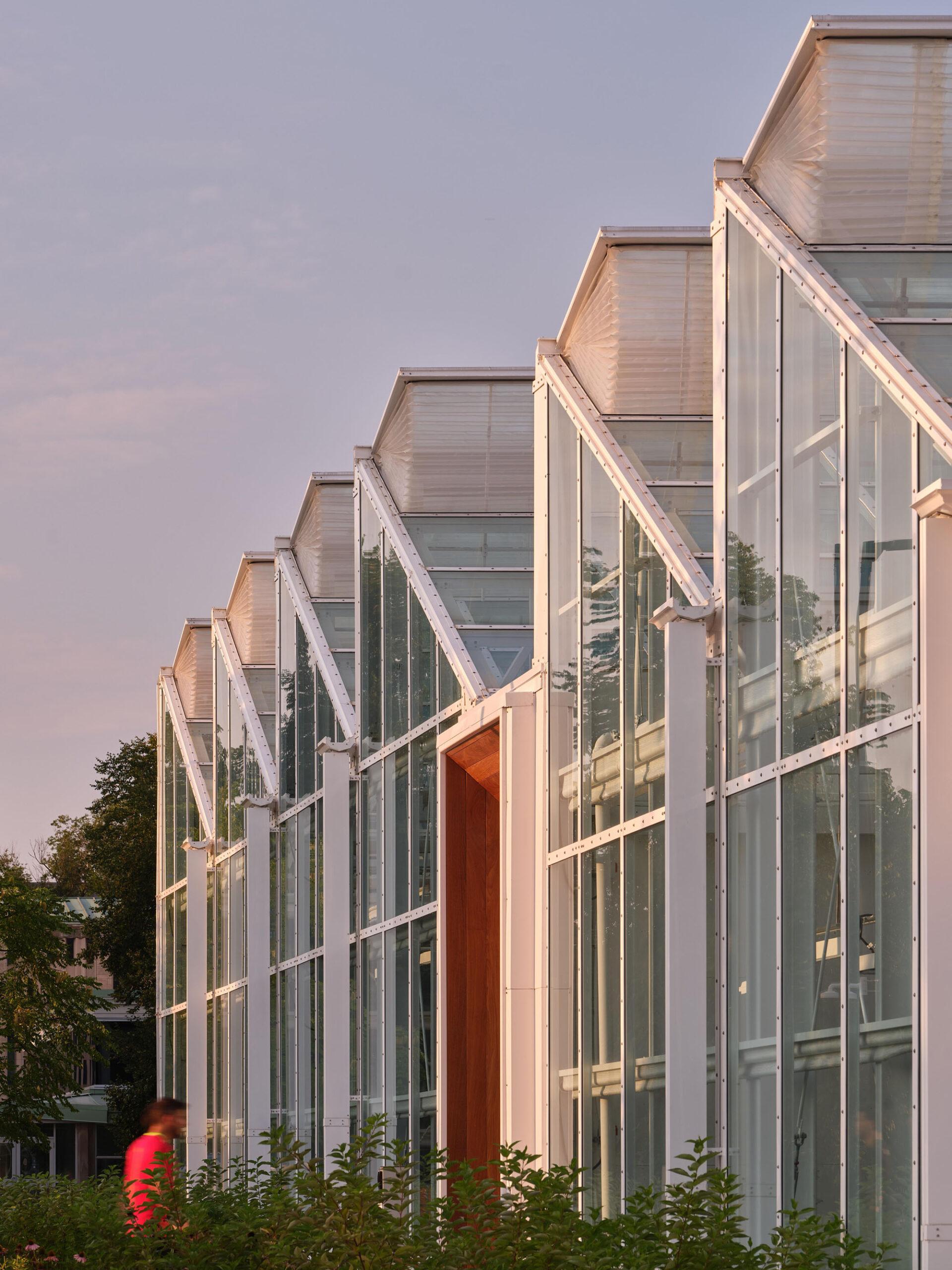 〈マクマスター大学 ライフサイエンス棟・温室（McMaster University Life Sciences Building and Greenhouse）〉モリヤマ・テシマ・アーキテクツ（Moriyama Teshima Architects）
