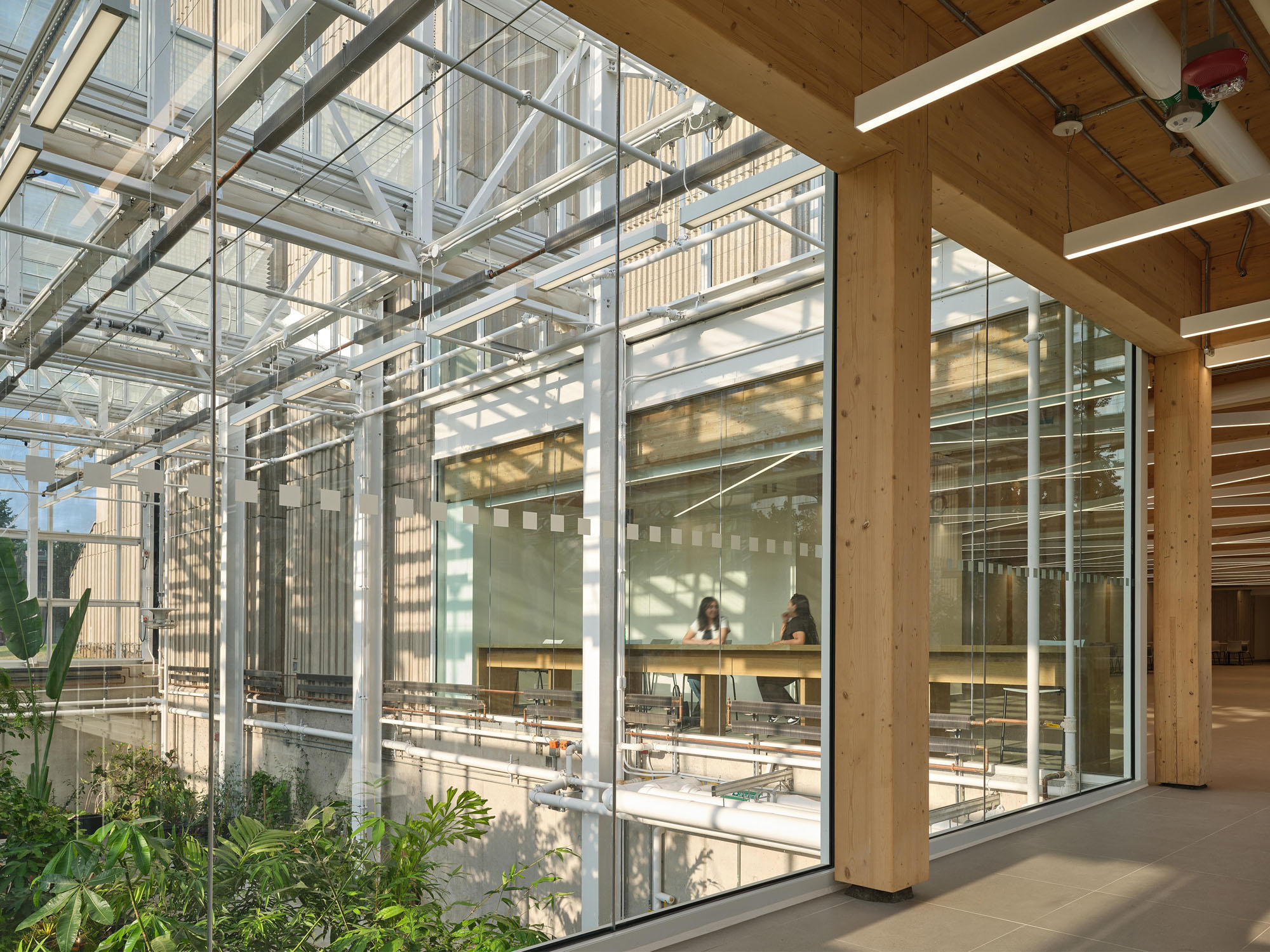 〈マクマスター大学 ライフサイエンス棟・温室（McMaster University Life Sciences Building and Greenhouse）〉モリヤマ・テシマ・アーキテクツ（Moriyama Teshima Architects）