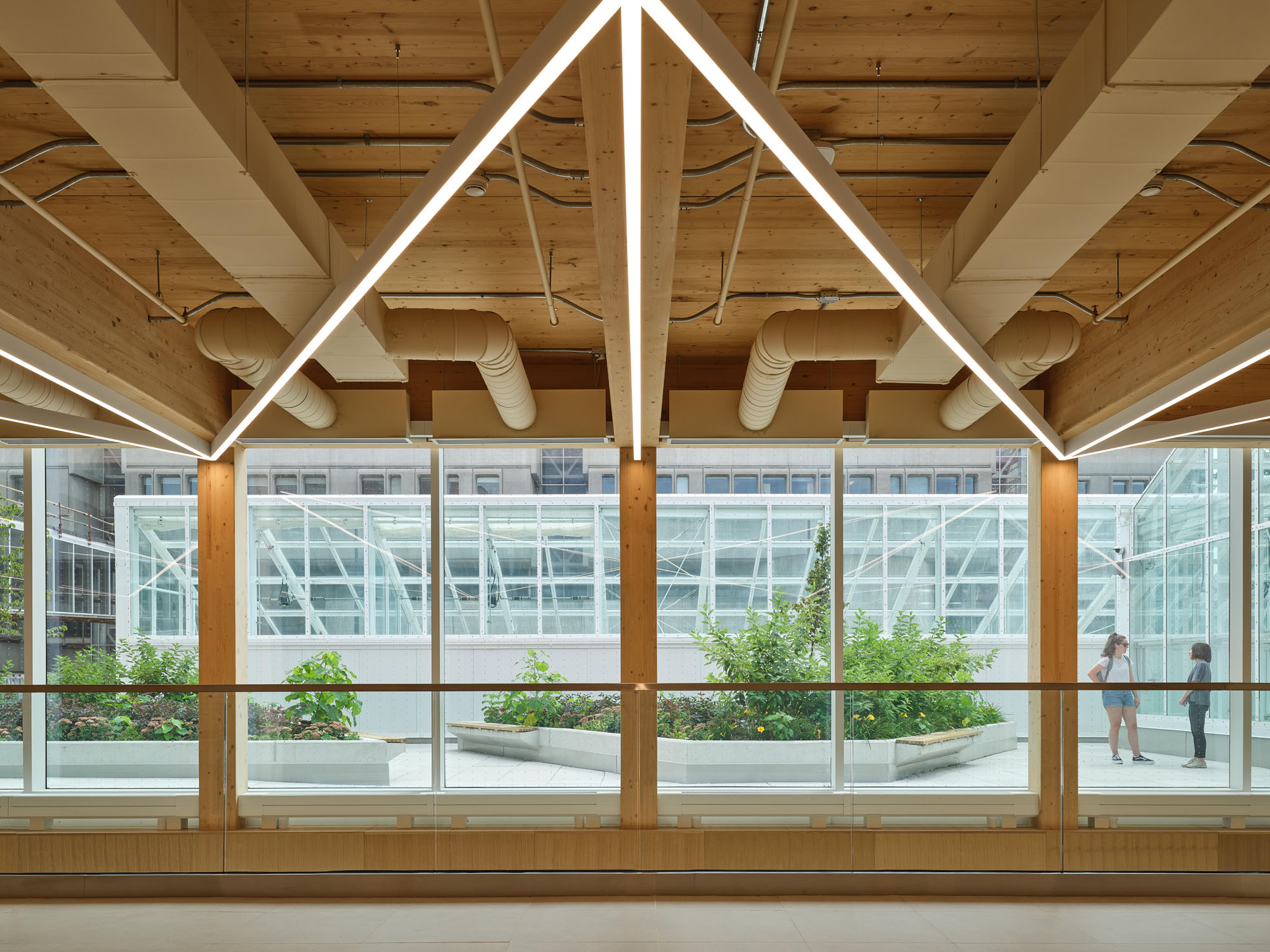 〈マクマスター大学 ライフサイエンス棟・温室（McMaster University Life Sciences Building and Greenhouse）〉モリヤマ・テシマ・アーキテクツ（Moriyama Teshima Architects）