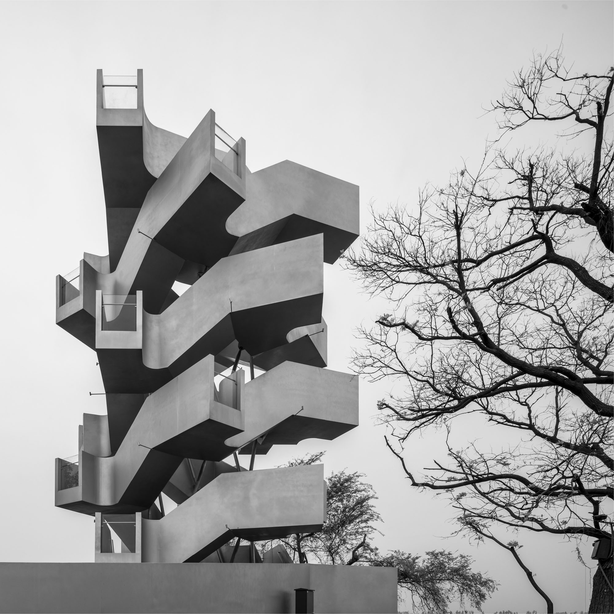 〈陳湖渡り鳥観察塔（Chenhu Migratory Bird Observation Tower）〉相南建築事務所（Xiang Architects）