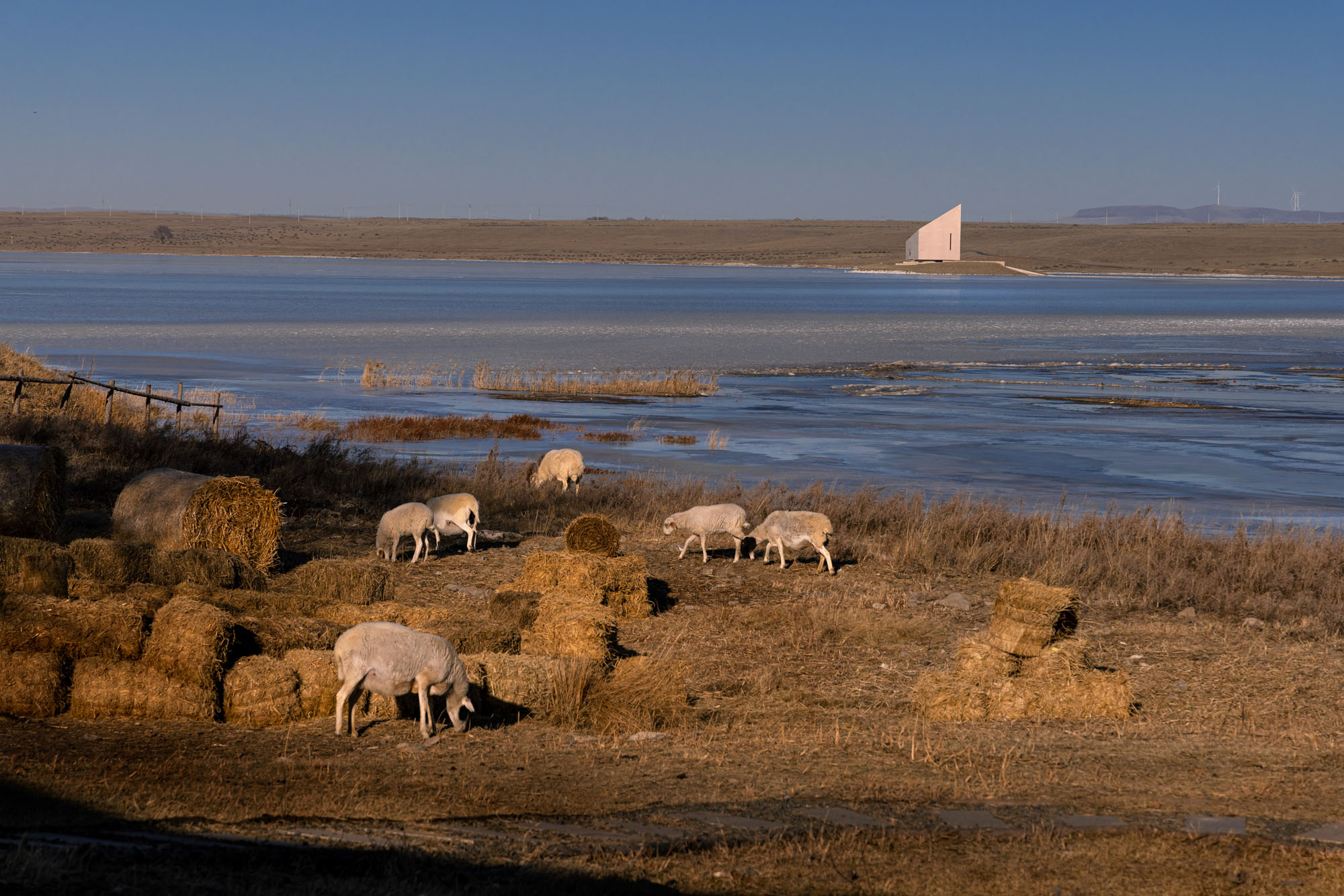 〈プレーリー・アーク（Prairie Ark）〉〈ノマド・ビーコン・タワー（Nomads' Beacon Tower）〉BUZZ（Büro Ziyu Zhuang）