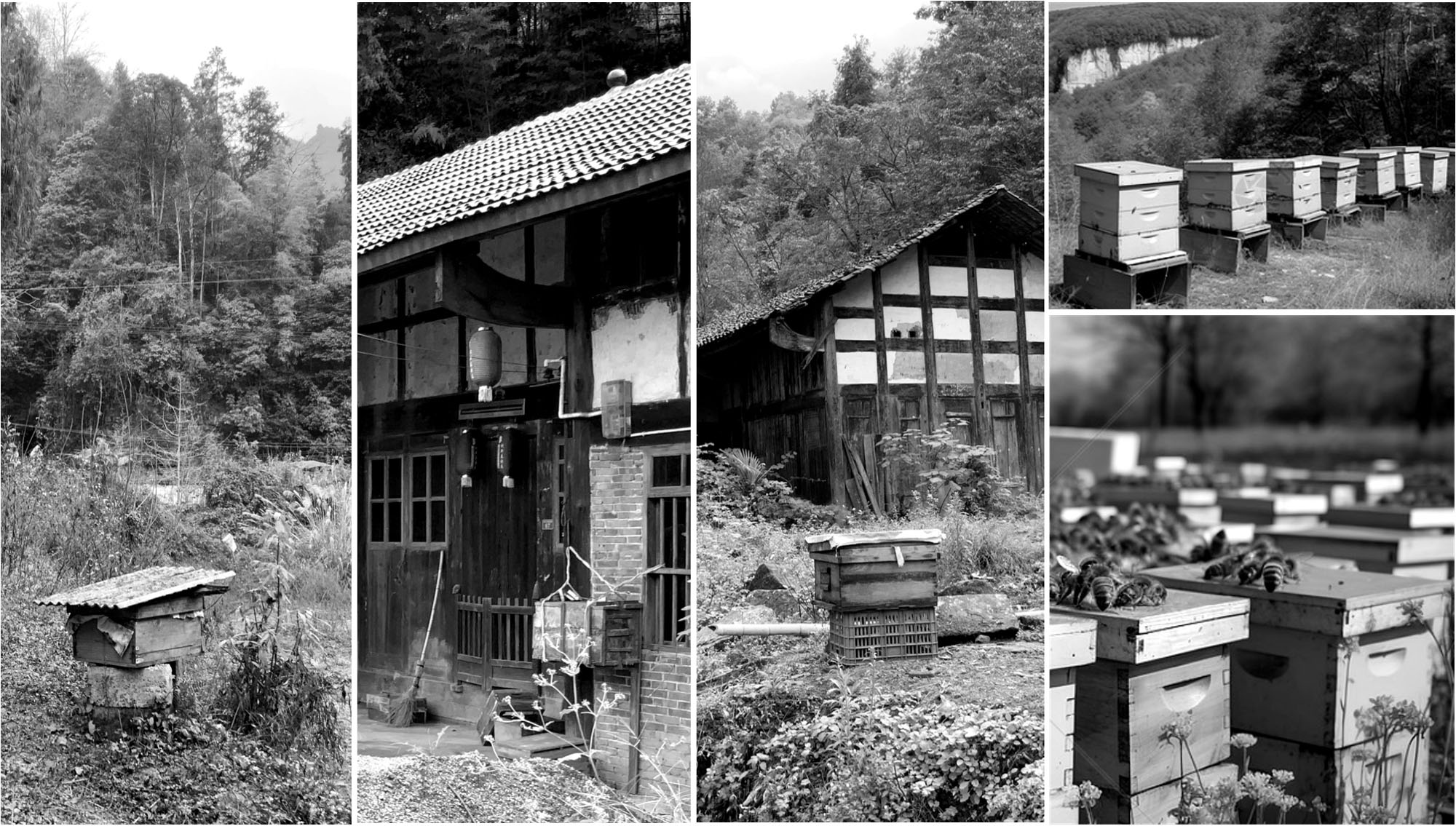 〈黄蜂岩キャンプ場ビジターセンター(Visitor Center of Huangfengyan Camping Park)〉象界設計機構(XJ DesignAgency)