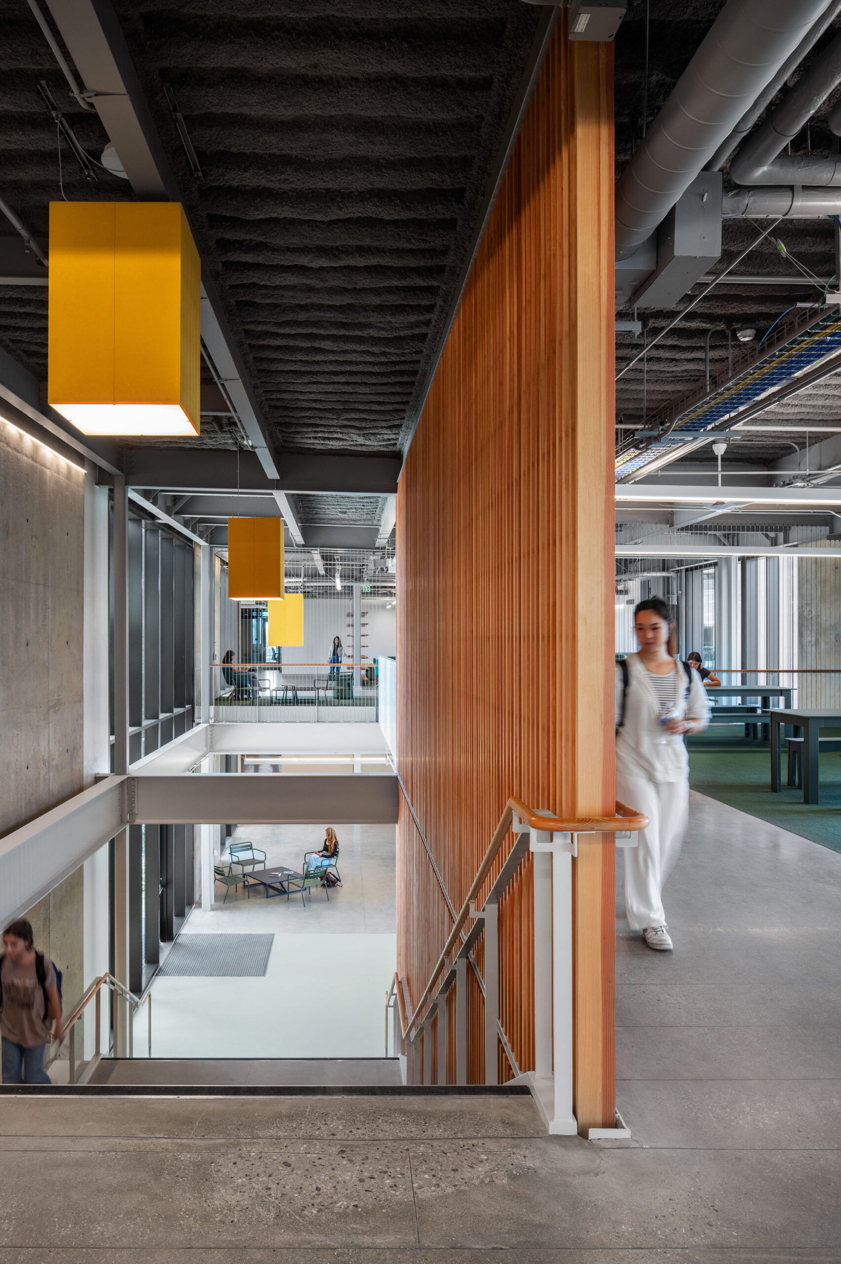 〈マリブ・ハイスクール(Malibu High School)〉コニング・アイゼンバーグ・アーキテクチャ(Koning Eizenberg Architecture)