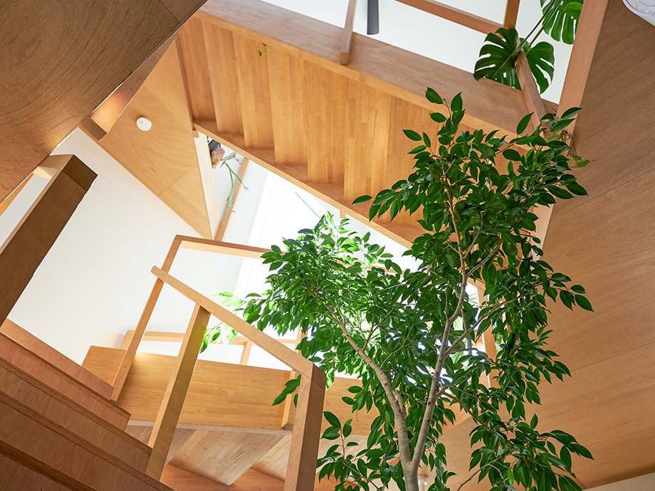 〈福岡の住宅〉Photo: YASHIRO PHOTO OFFICE