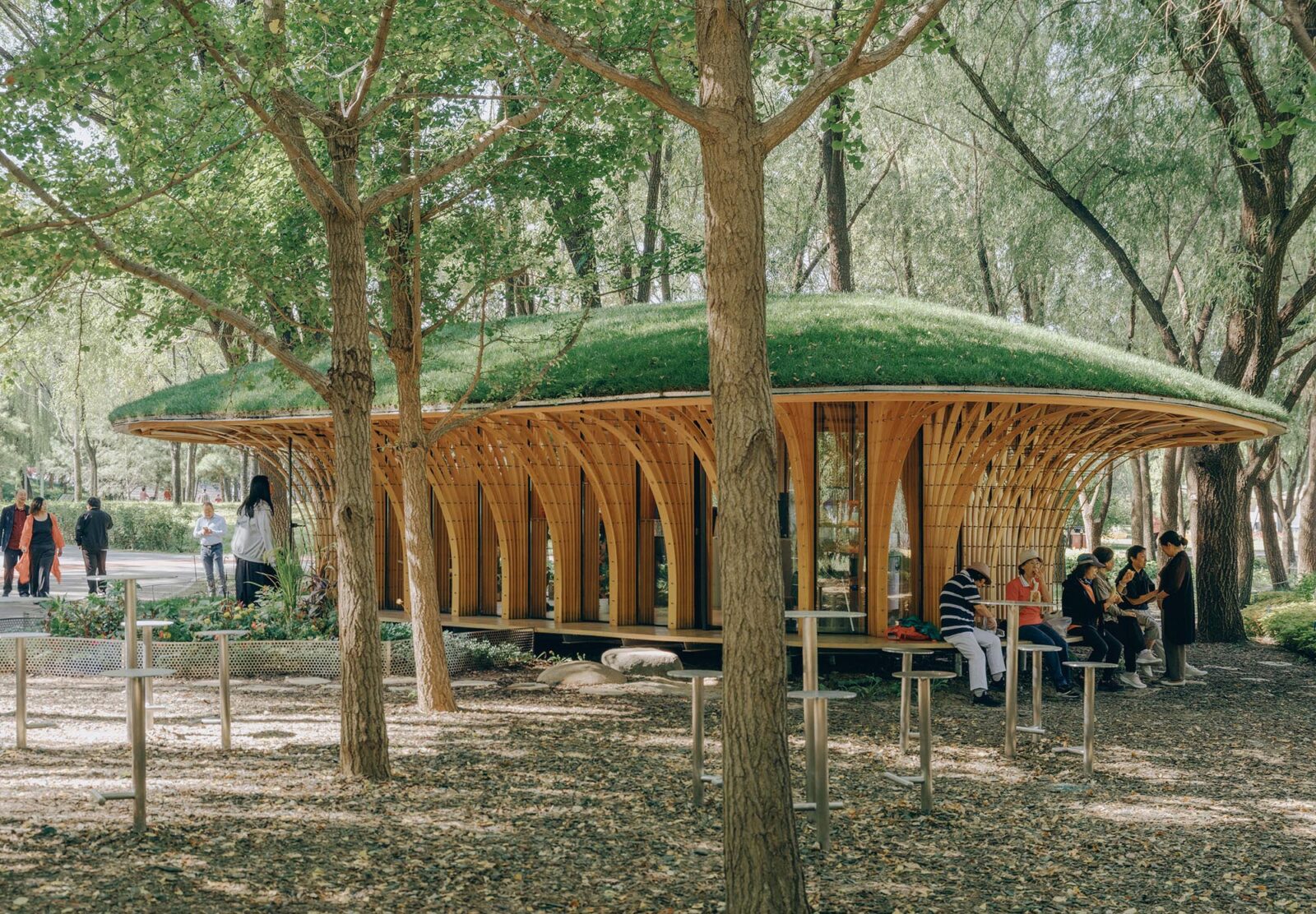LUOスタジオが中国・北京の公園に手がけた、薄い木材を束ねた構造がきのこ状の緑化屋根を支える休憩所〈ウェスト・ガーデン・フローリスト〉