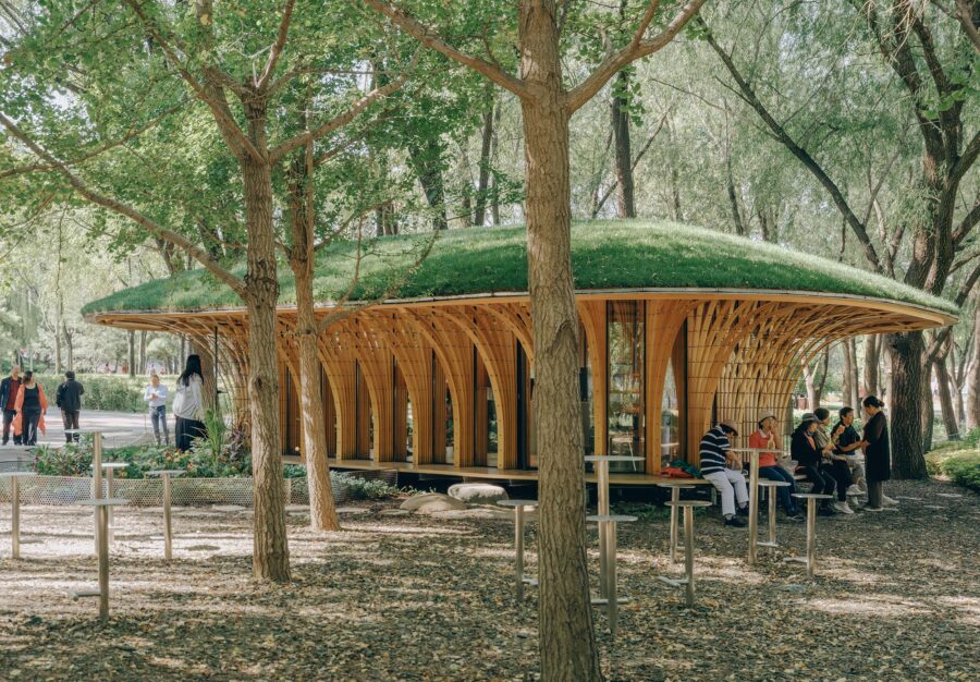 LUOスタジオが中国・北京の公園に手がけた、薄い木材を束ねた構造がきのこ状の緑化屋根を支える休憩所〈ウェスト・ガーデン・フローリスト〉