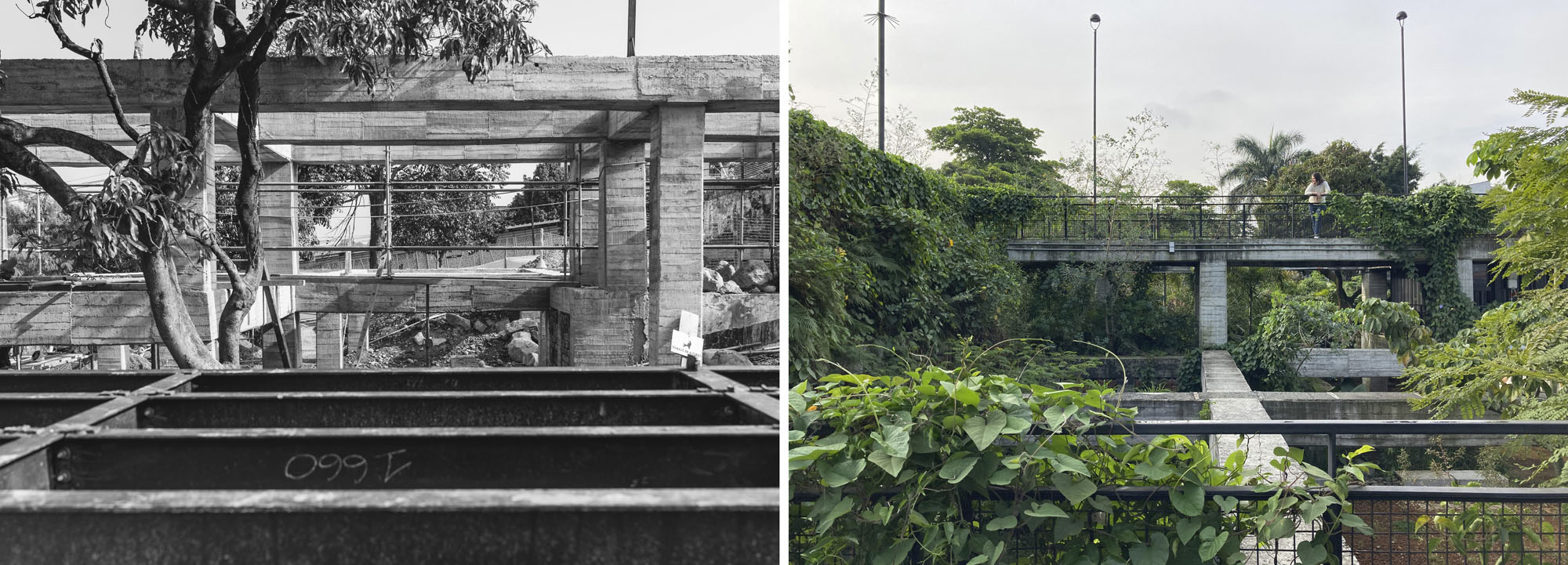 〈プラド地区の公園(Park in the Prado Neighborhood)〉Connatural