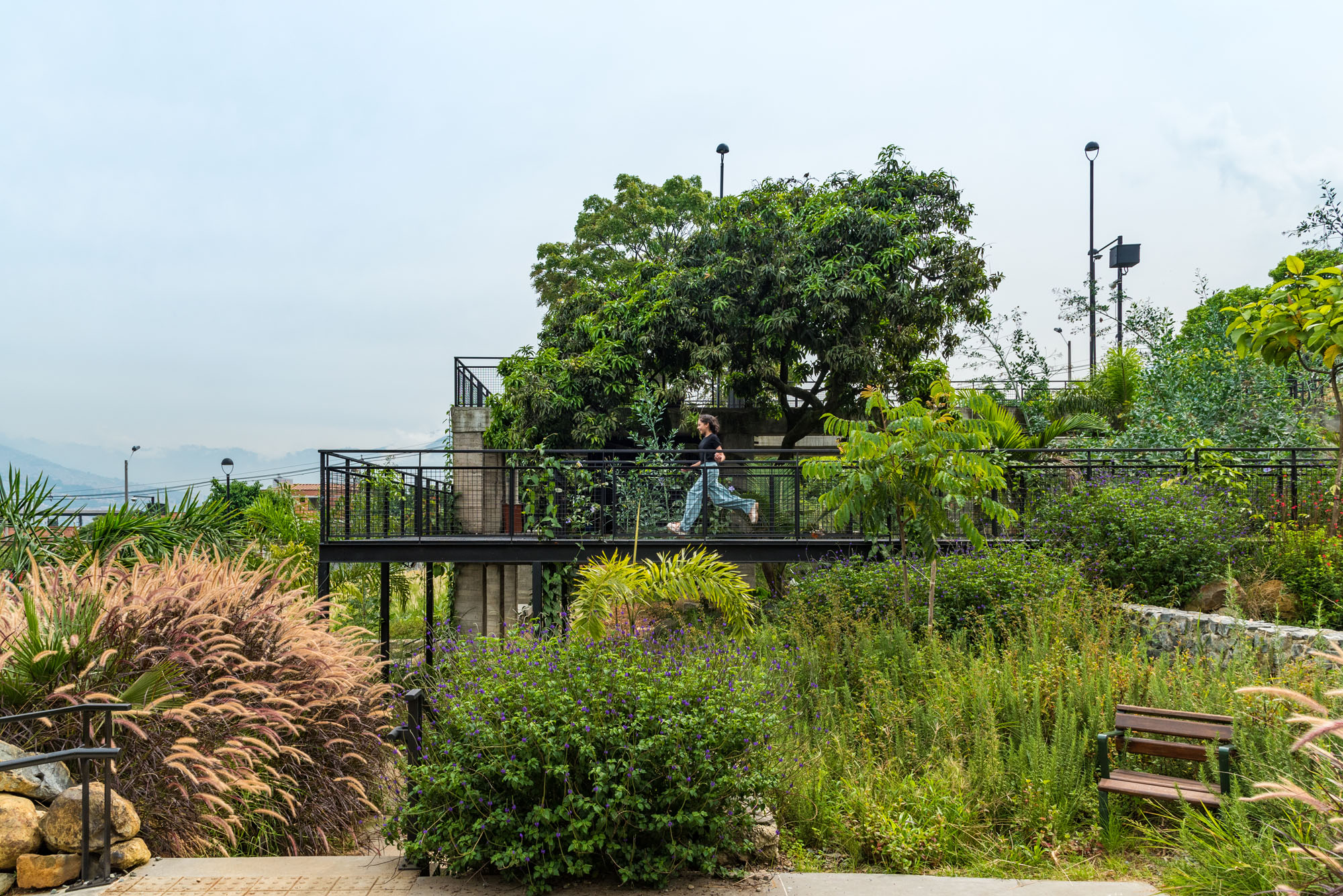 〈プラド地区の公園(Park in the Prado Neighborhood)〉Connatural