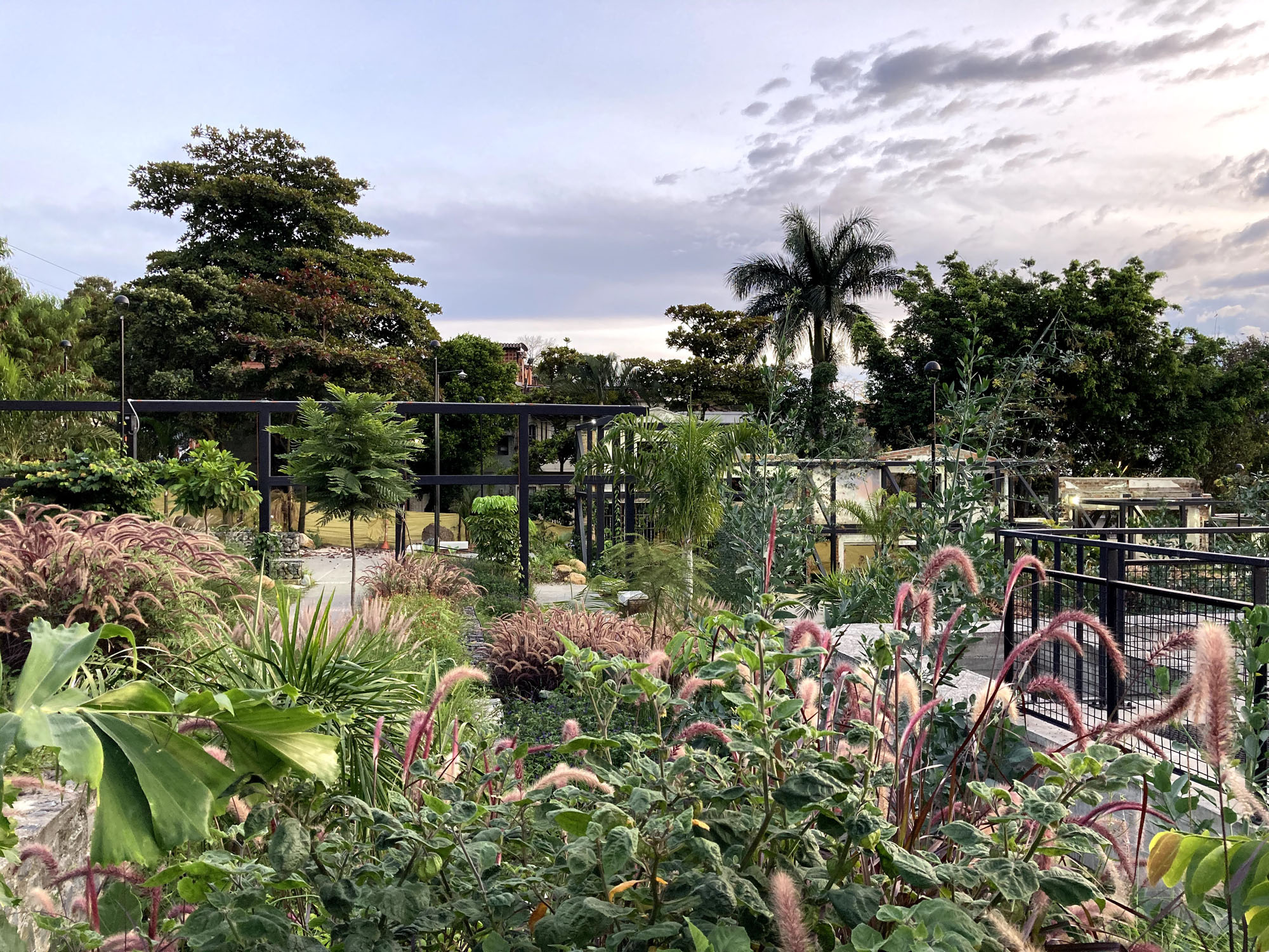 〈プラド地区の公園(Park in the Prado Neighborhood)〉Connatural