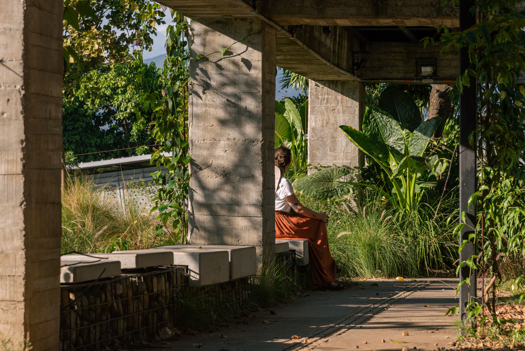 〈プラド地区の公園(Park in the Prado Neighborhood)〉Connatural
