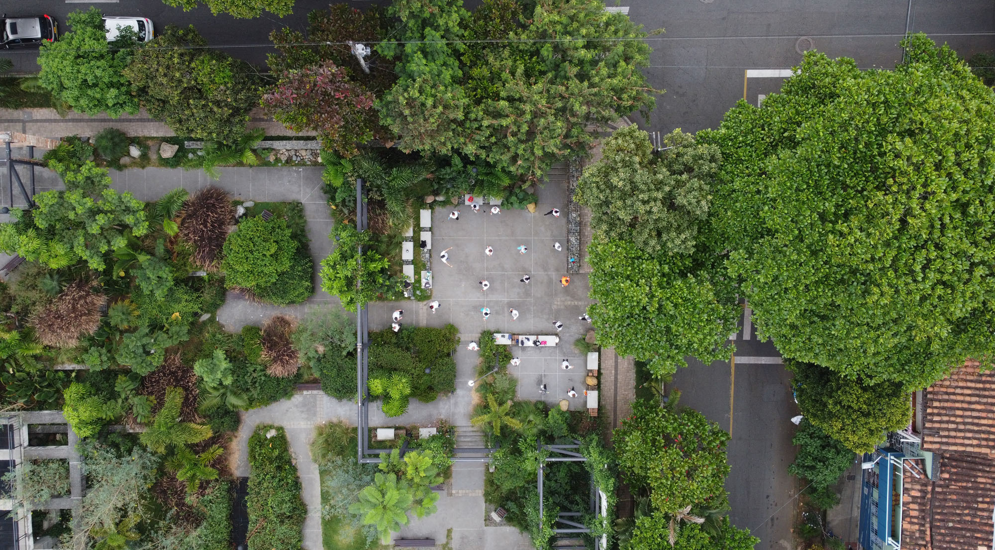 〈プラド地区の公園(Park in the Prado Neighborhood)〉Connatural