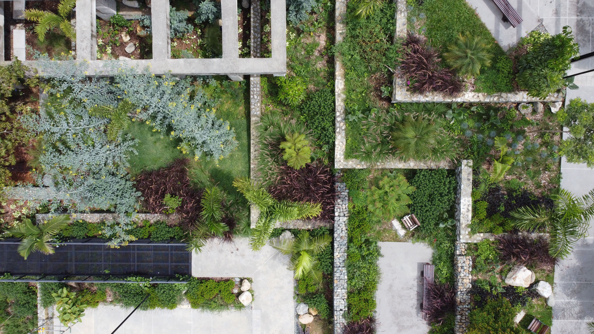 〈プラド地区の公園(Park in the Prado Neighborhood)〉Connatural
