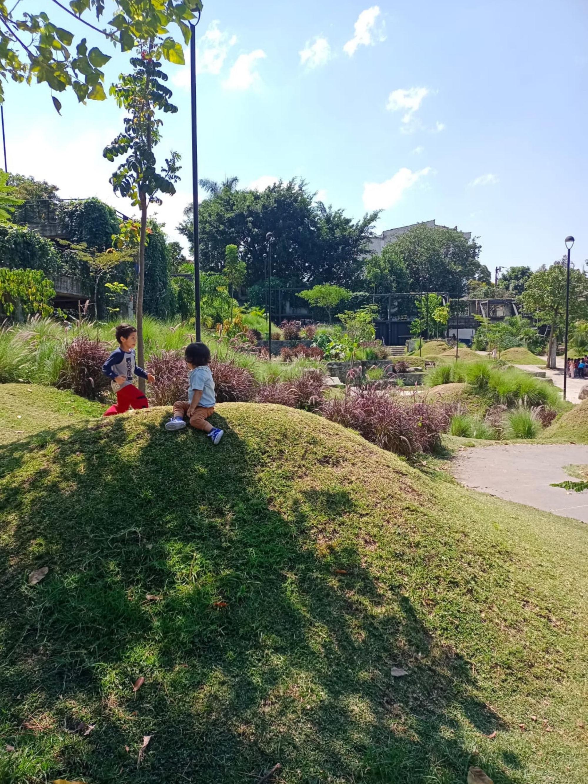 〈プラド地区の公園(Park in the Prado Neighborhood)〉Connatural
