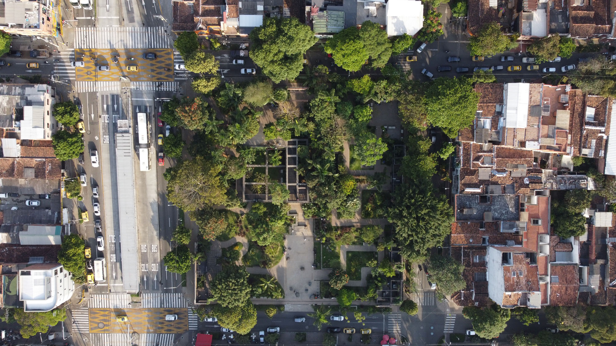 〈プラド地区の公園(Park in the Prado Neighborhood)〉Connatural