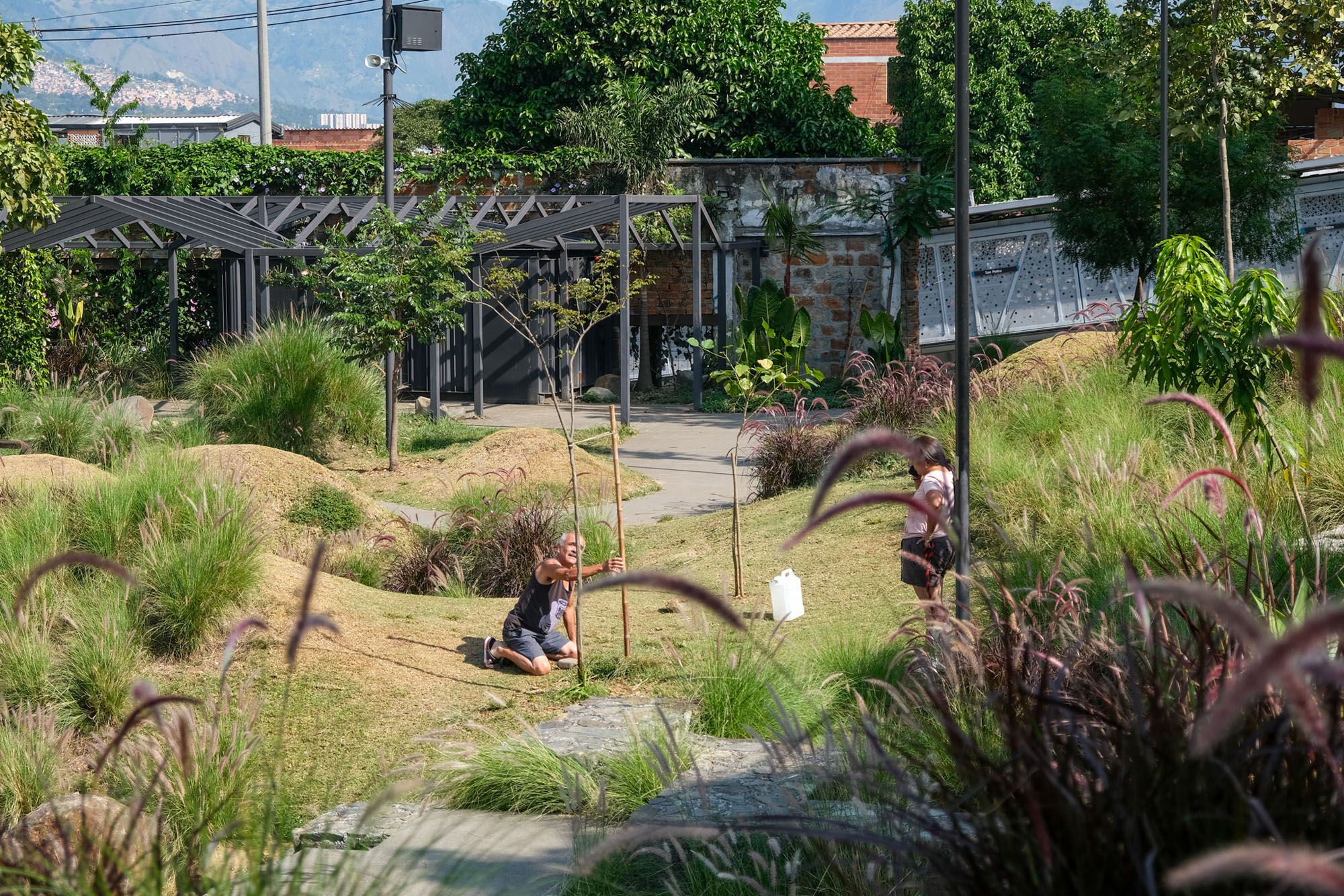 〈プラド地区の公園(Park in the Prado Neighborhood)〉Connatural